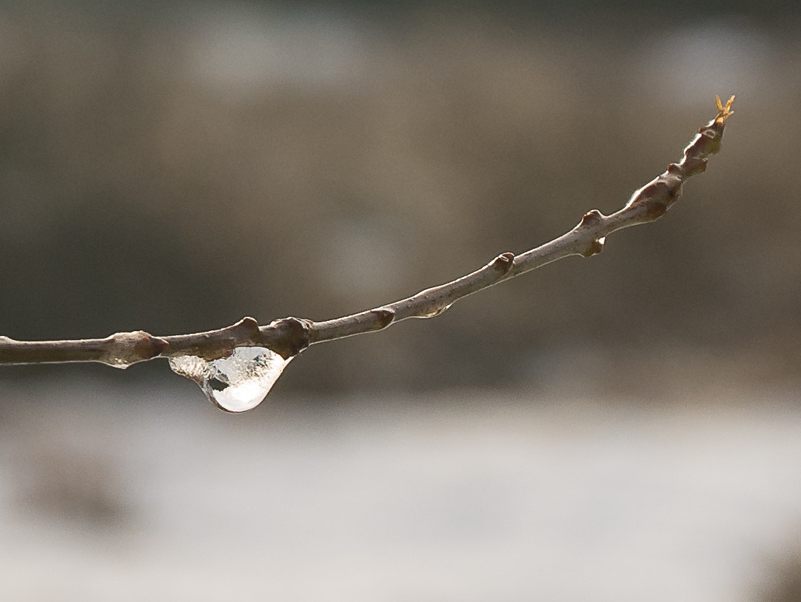 Panasonic Lumix DMC-G7 sample photo. Frozen drop photography