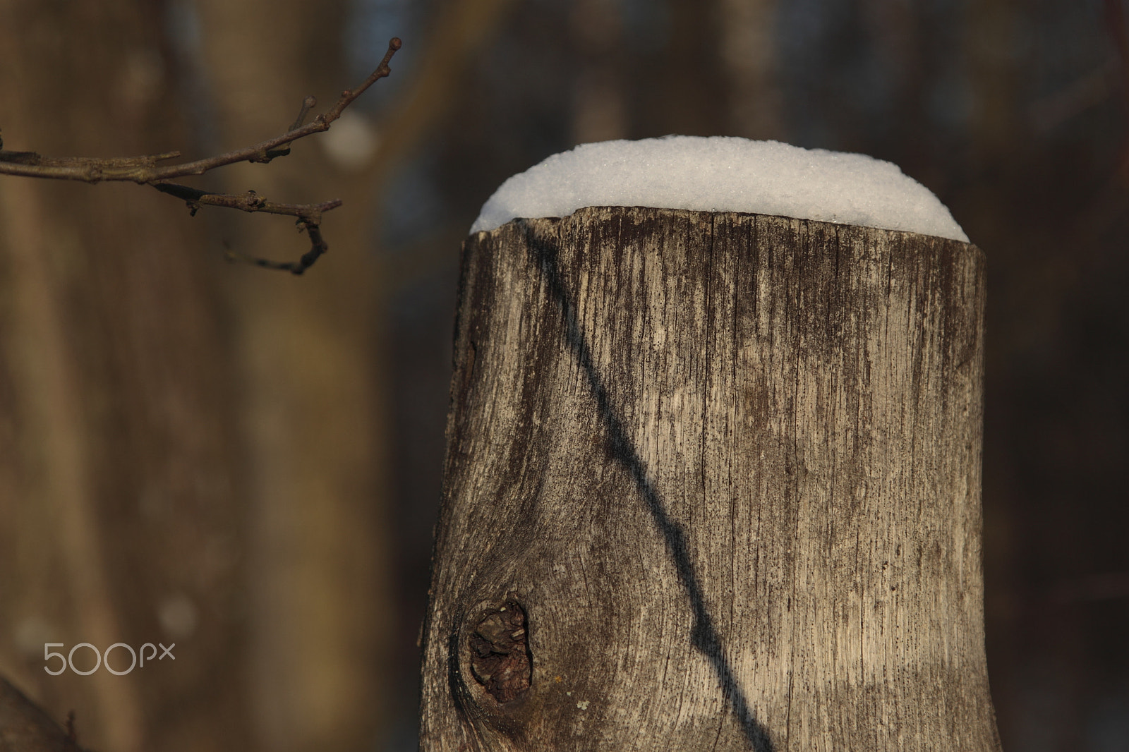 Canon EOS 500D (EOS Rebel T1i / EOS Kiss X3) + Canon EF 24-105mm F4L IS USM sample photo. "winter hat". photography