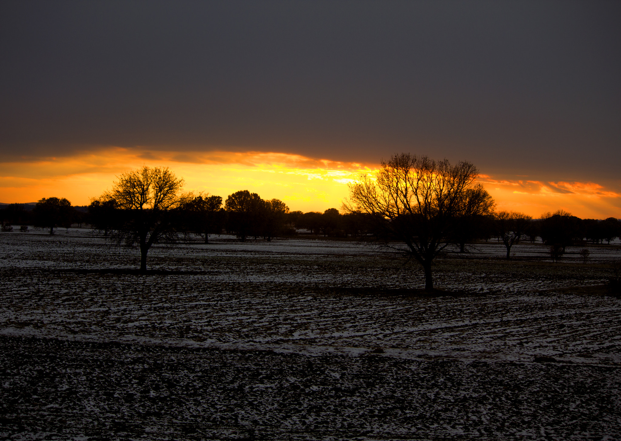 Canon EOS 550D (EOS Rebel T2i / EOS Kiss X4) sample photo. Silhouette photography