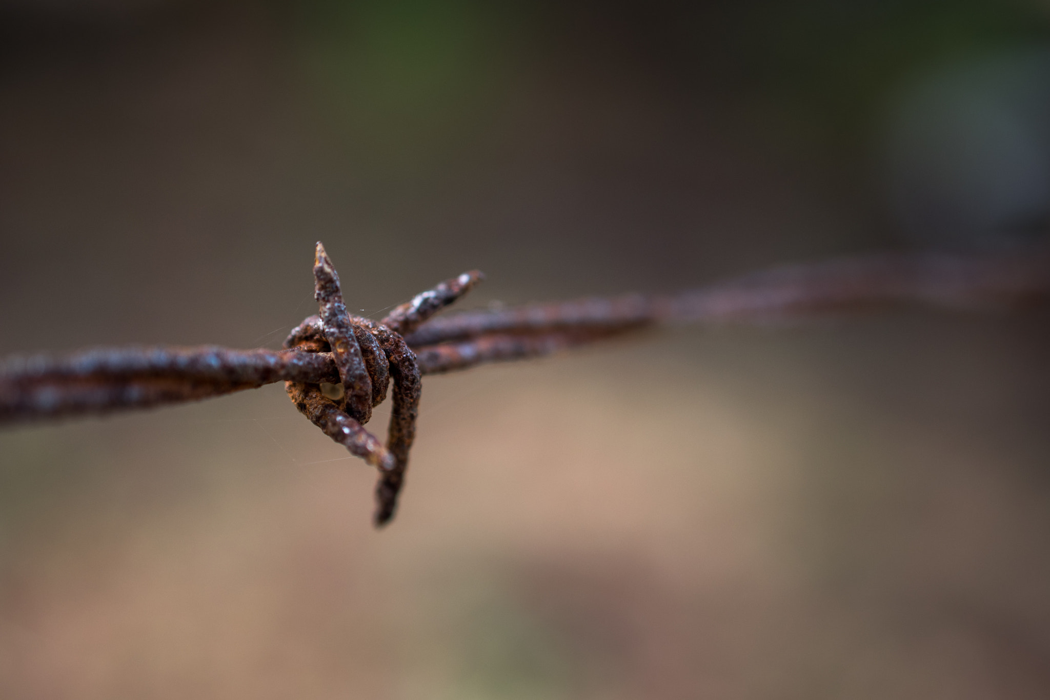 Nikon AF-S DX Micro Nikkor 40mm F2.8 sample photo. Barbed wire photography