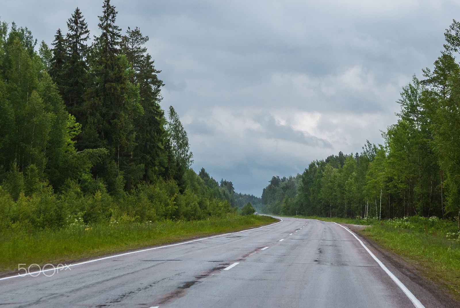 Nikon D80 sample photo. Road photography