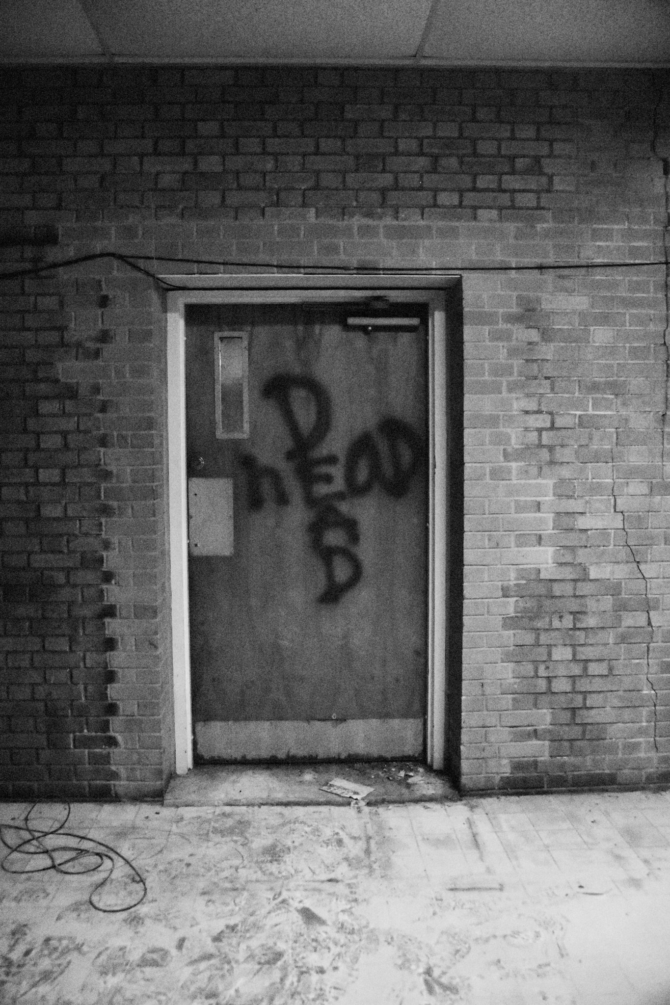 Nikon D3400 sample photo. Deadheadbw photography