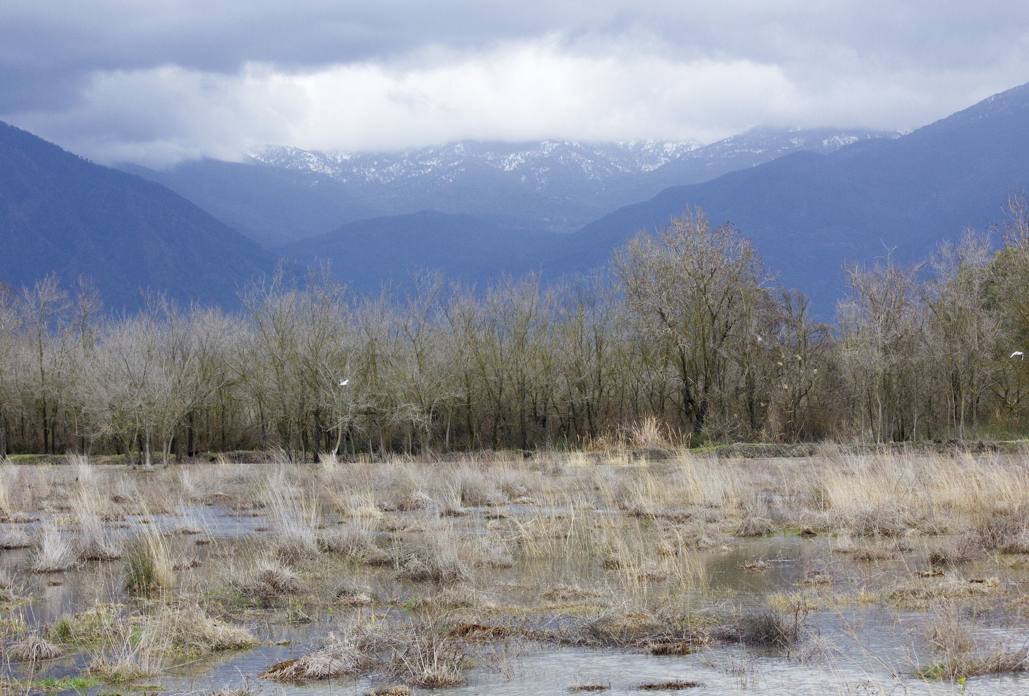 Canon EOS 550D (EOS Rebel T2i / EOS Kiss X4) sample photo. Mountian and trees photography