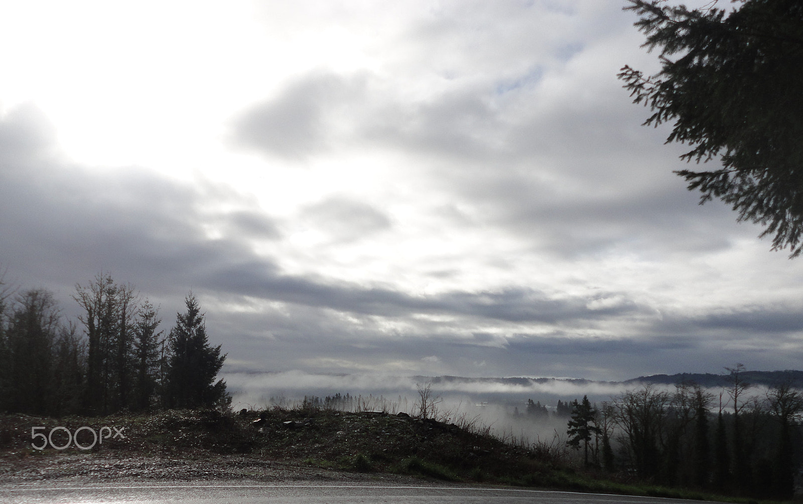 Sony Cyber-shot DSC-W560 sample photo. Woodburn hill march 2016 photography