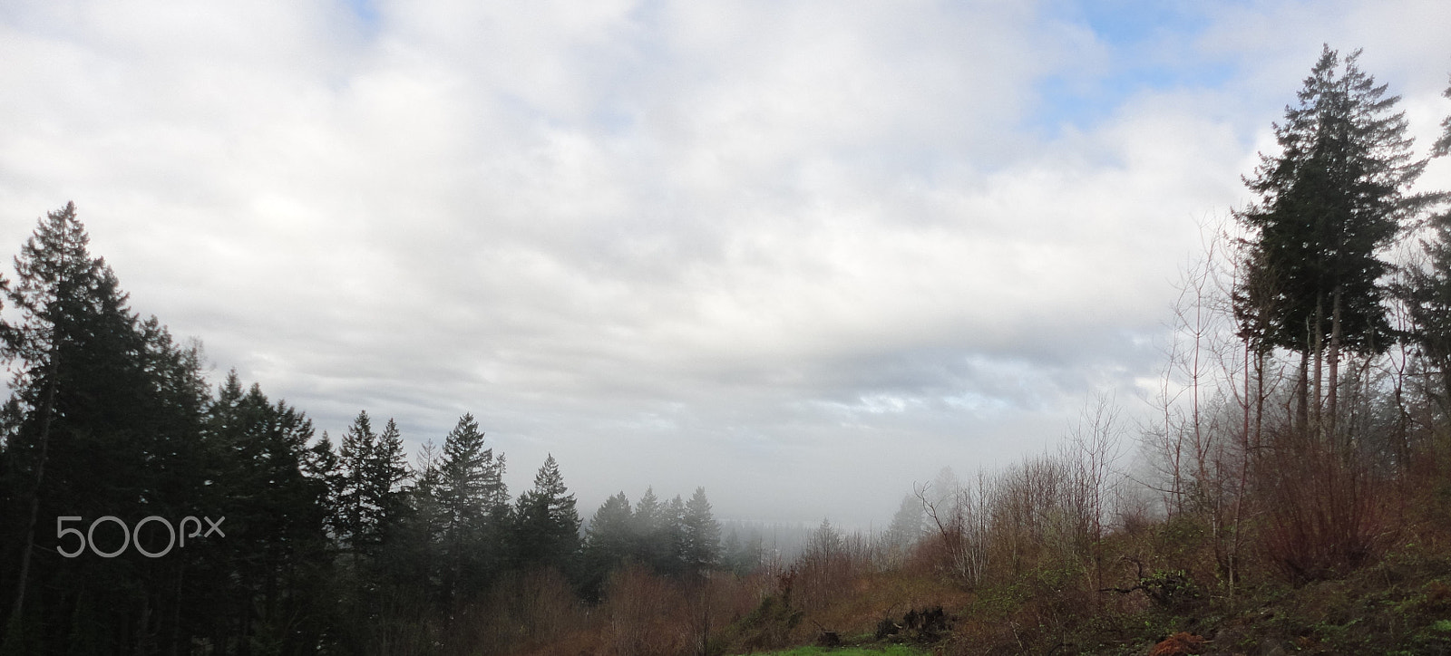 Sony Cyber-shot DSC-W560 sample photo. Woodburn hill march 2016 photography
