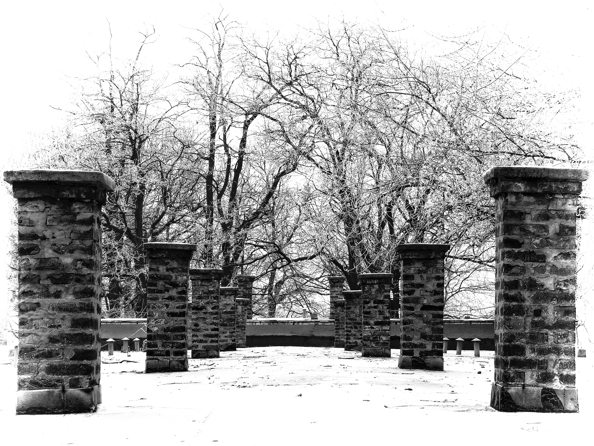 Fujifilm FinePix S5500 sample photo. Chimneys forest bw photography