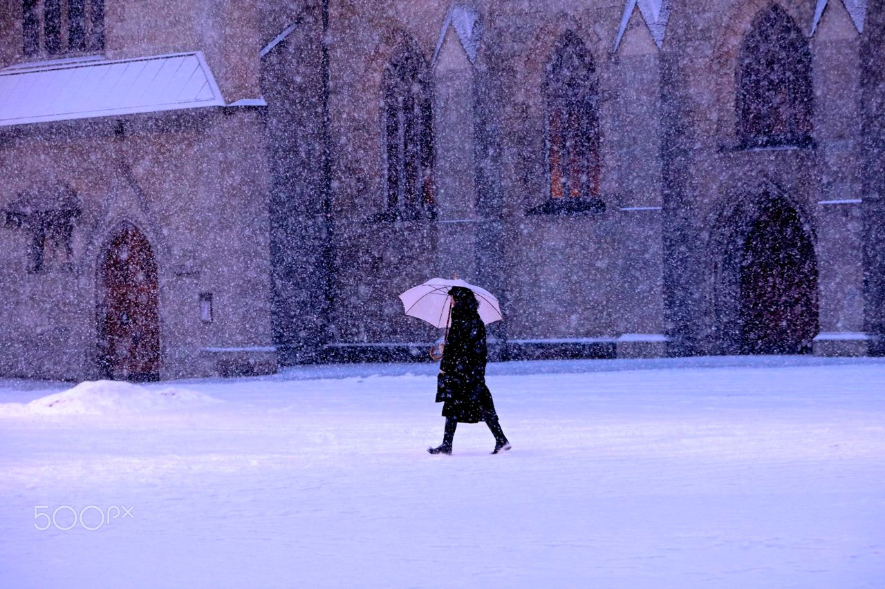 Canon EOS 5DS sample photo. Winter mood photography