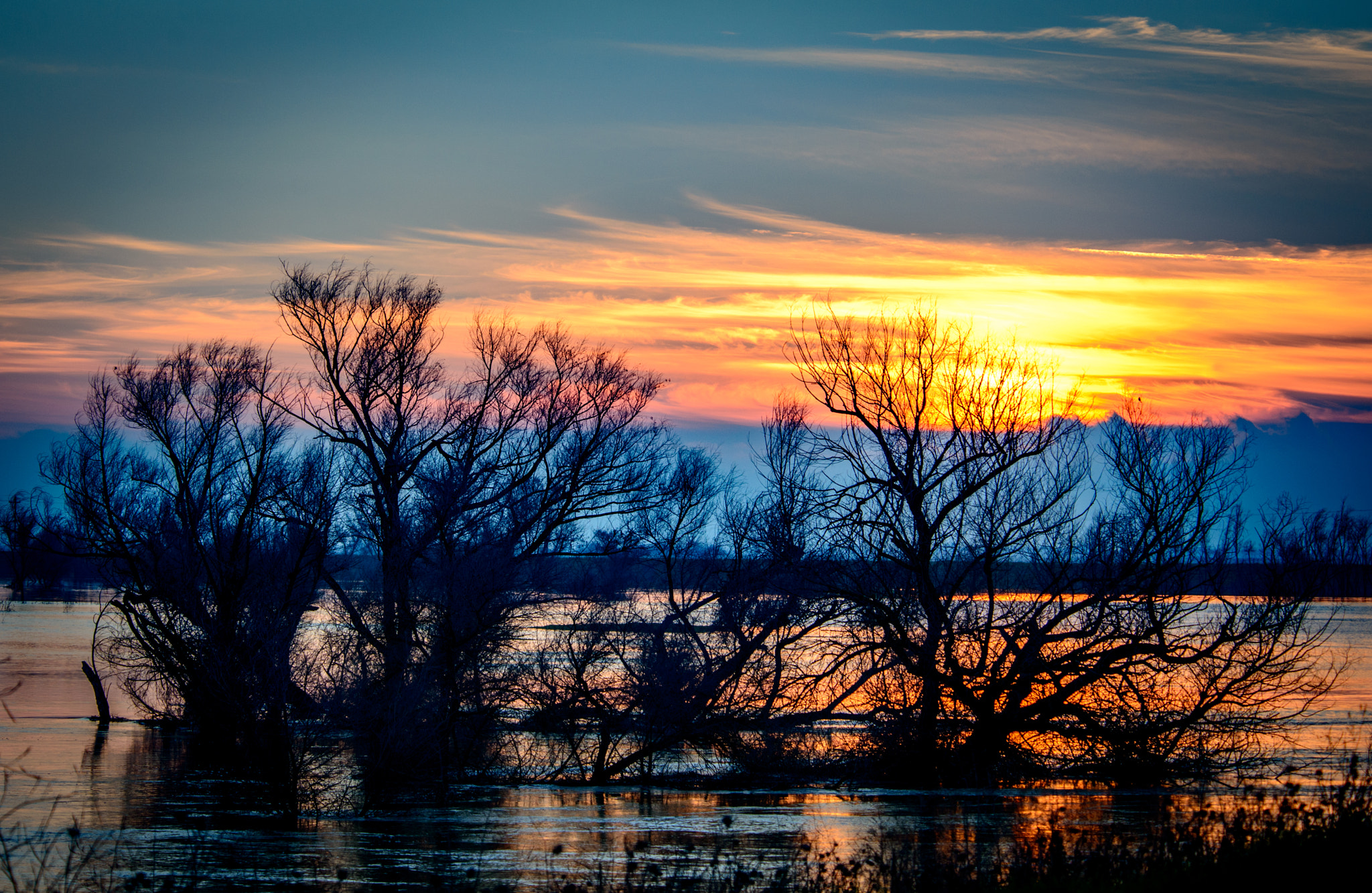 Nikon D800 sample photo. Wetlands sunset in winter photography