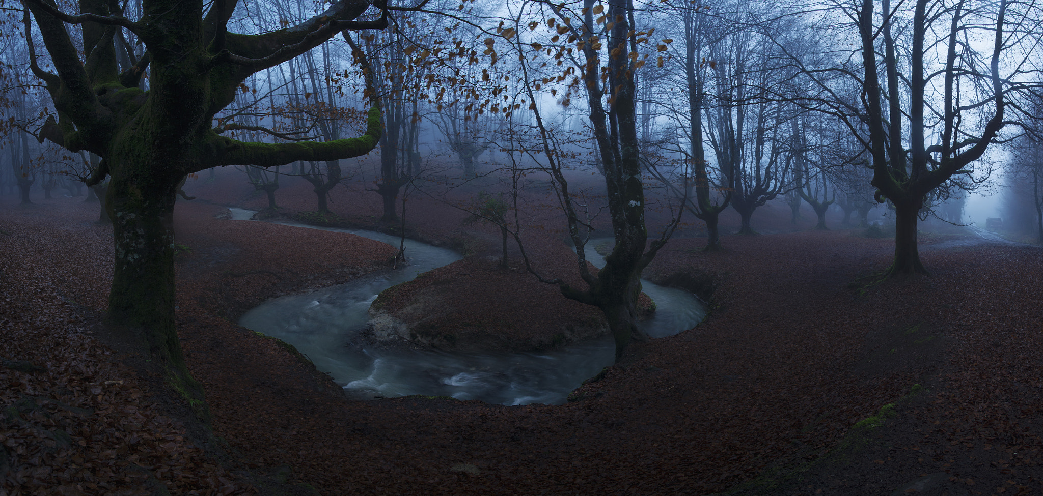 Nikon D610 + Nikon AF-S Nikkor 20mm F1.8G ED sample photo. Meandering rivers (bizkaia) photography