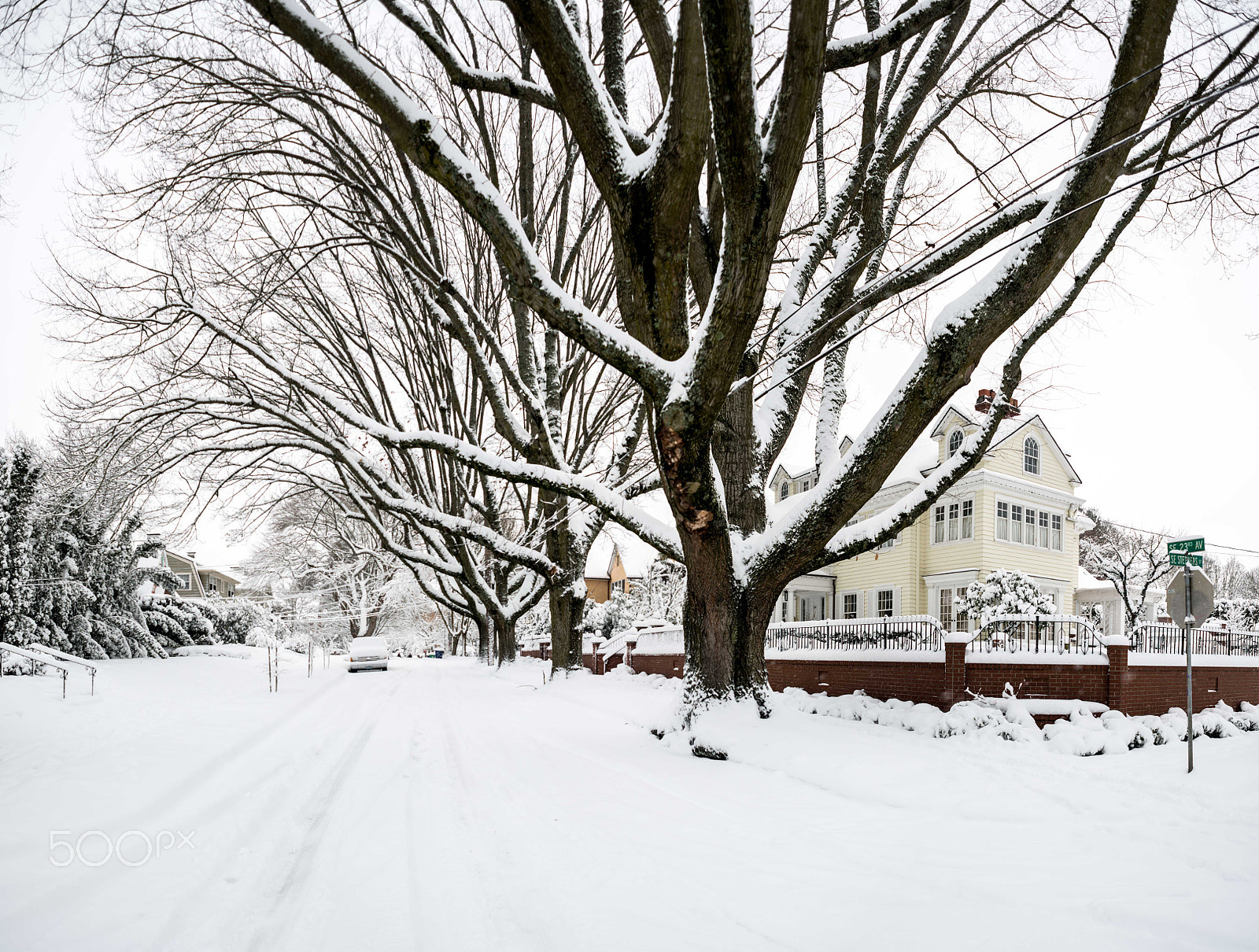 Nikon D800 + AF Nikkor 24mm f/2.8 sample photo. Pdx snow (of ) photography