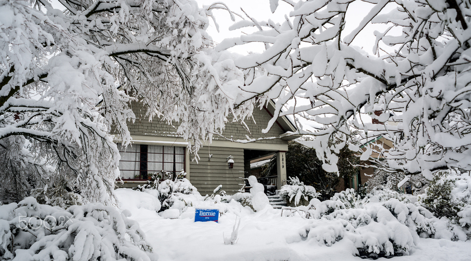 Nikon D800 + AF Nikkor 24mm f/2.8 sample photo. Pdx snow (of ) photography