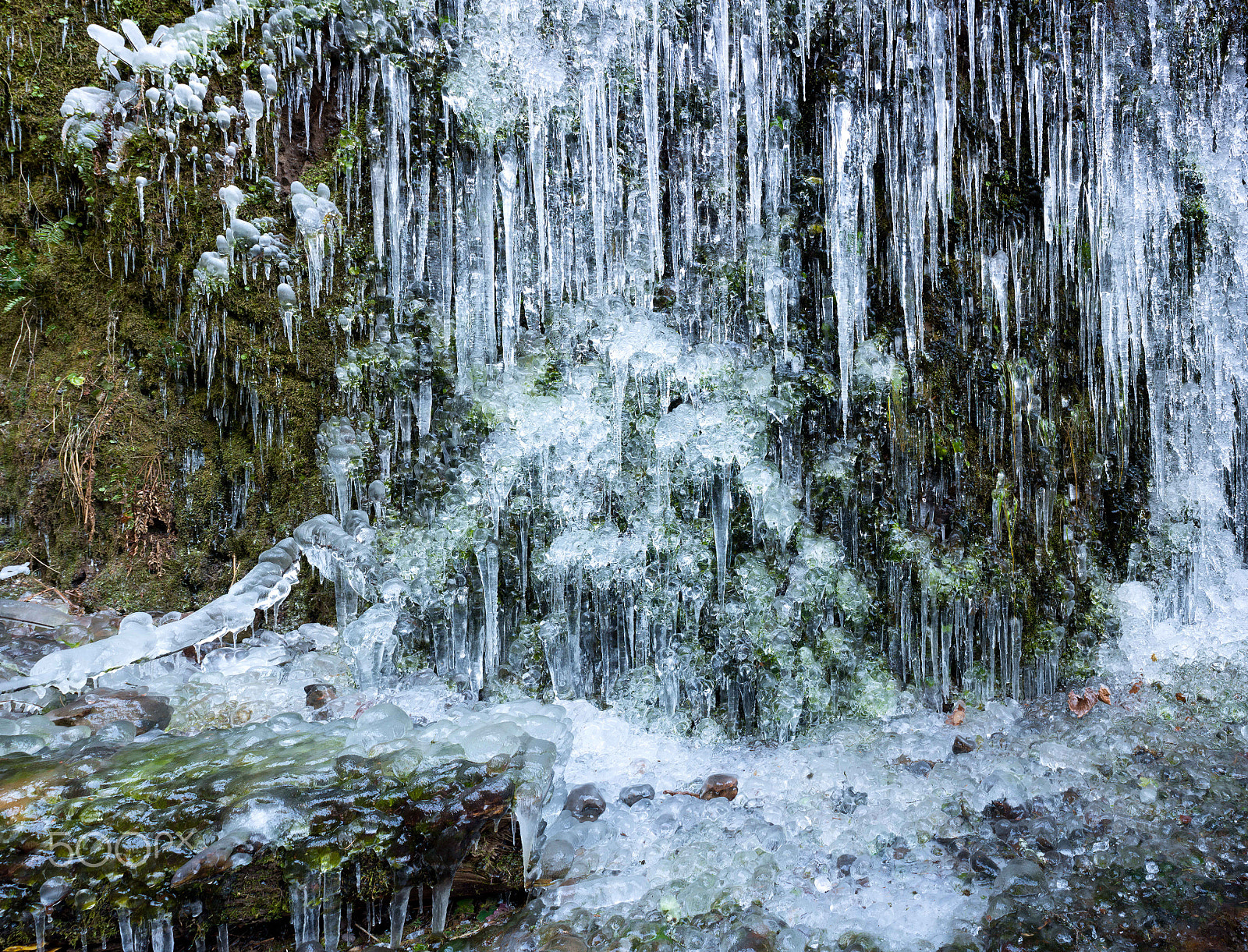 Nikon D800 + AF Nikkor 24mm f/2.8 sample photo. Pdx snow (of ) photography