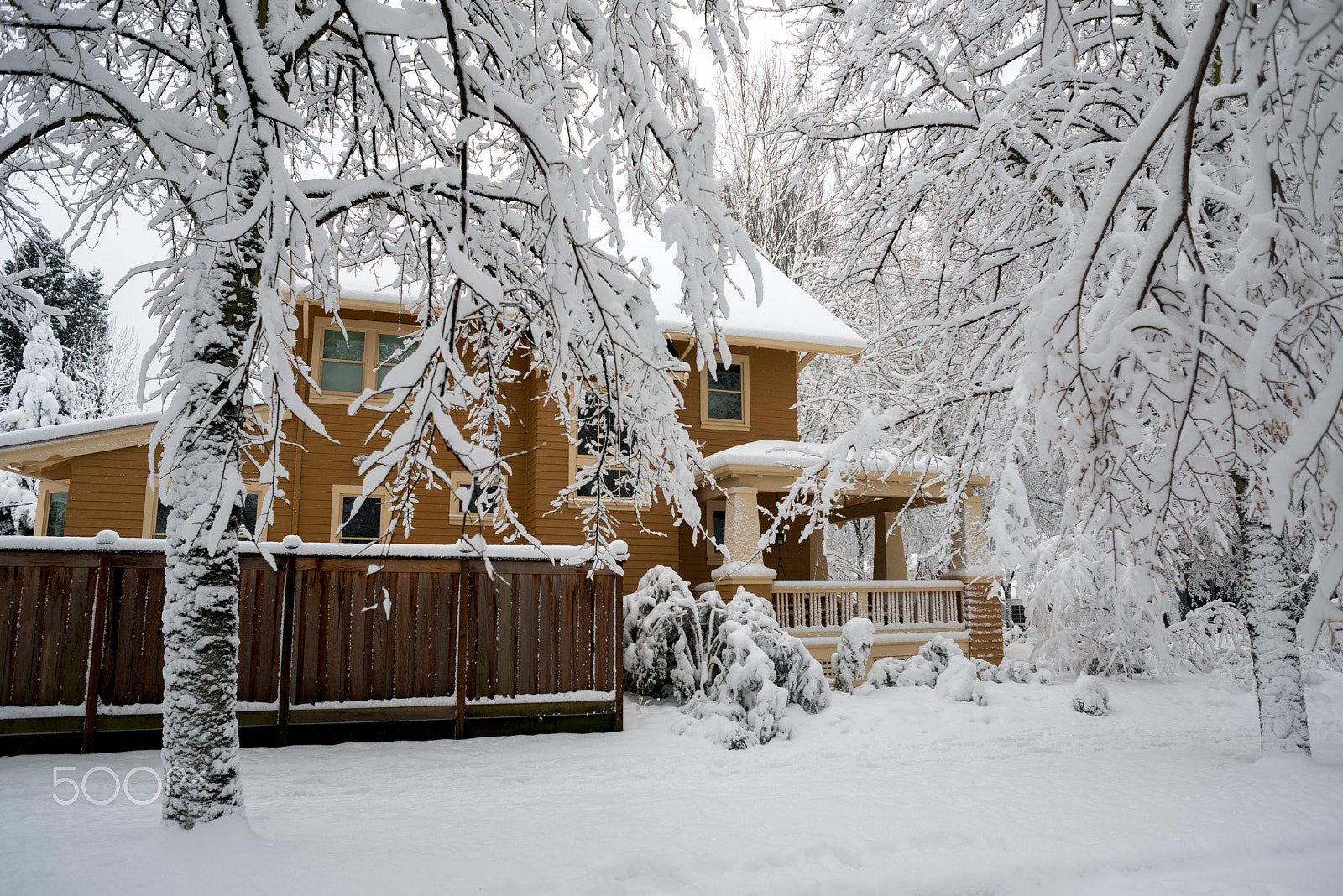 Nikon D800 + AF Nikkor 24mm f/2.8 sample photo. Pdx snow (of ) photography