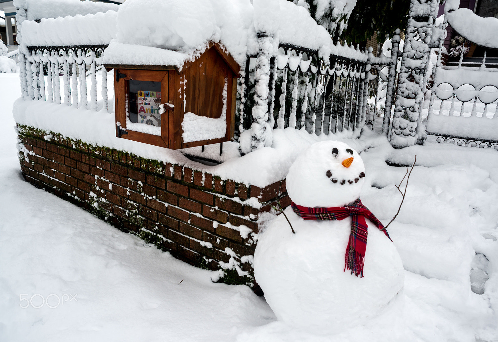 Nikon D800 + AF Nikkor 24mm f/2.8 sample photo. Pdx snow (of ) photography