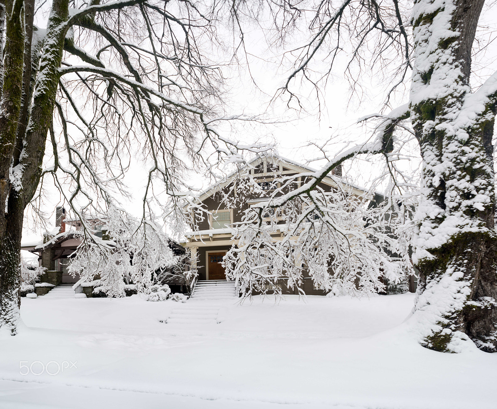 Nikon D800 + AF Nikkor 24mm f/2.8 sample photo. Pdx snow (of ) photography