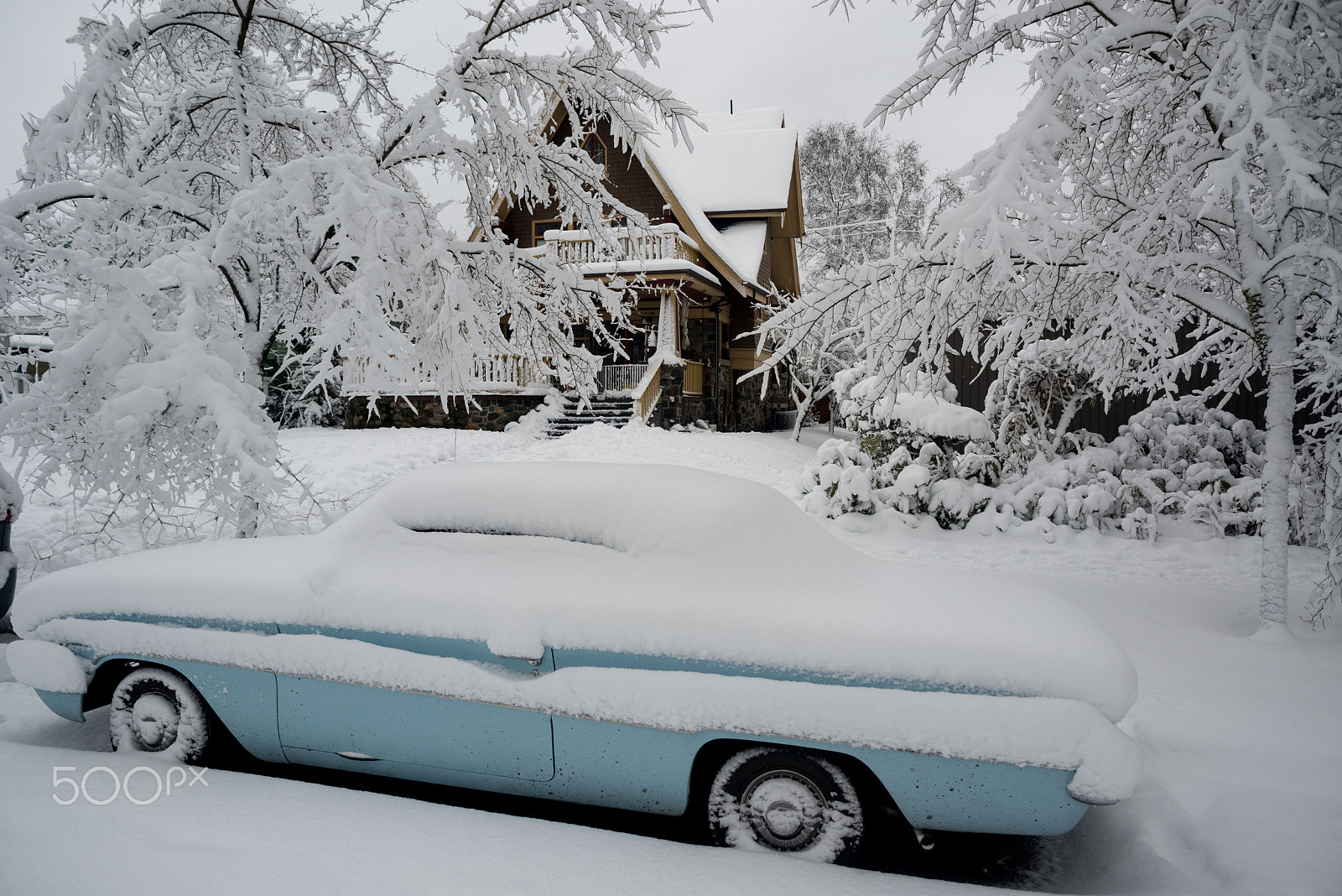 Nikon D800 + AF Nikkor 24mm f/2.8 sample photo. Pdx snow (of ) photography