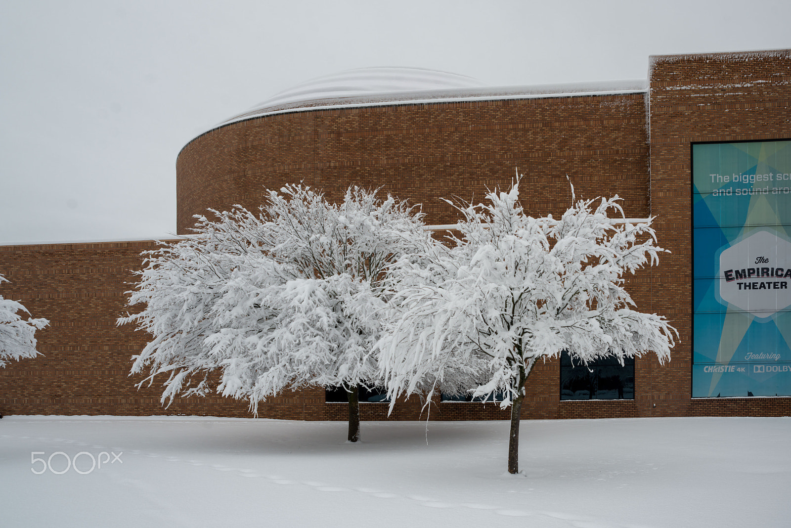 Nikon D800 + AF Nikkor 24mm f/2.8 sample photo. Pdx snow (of ) photography