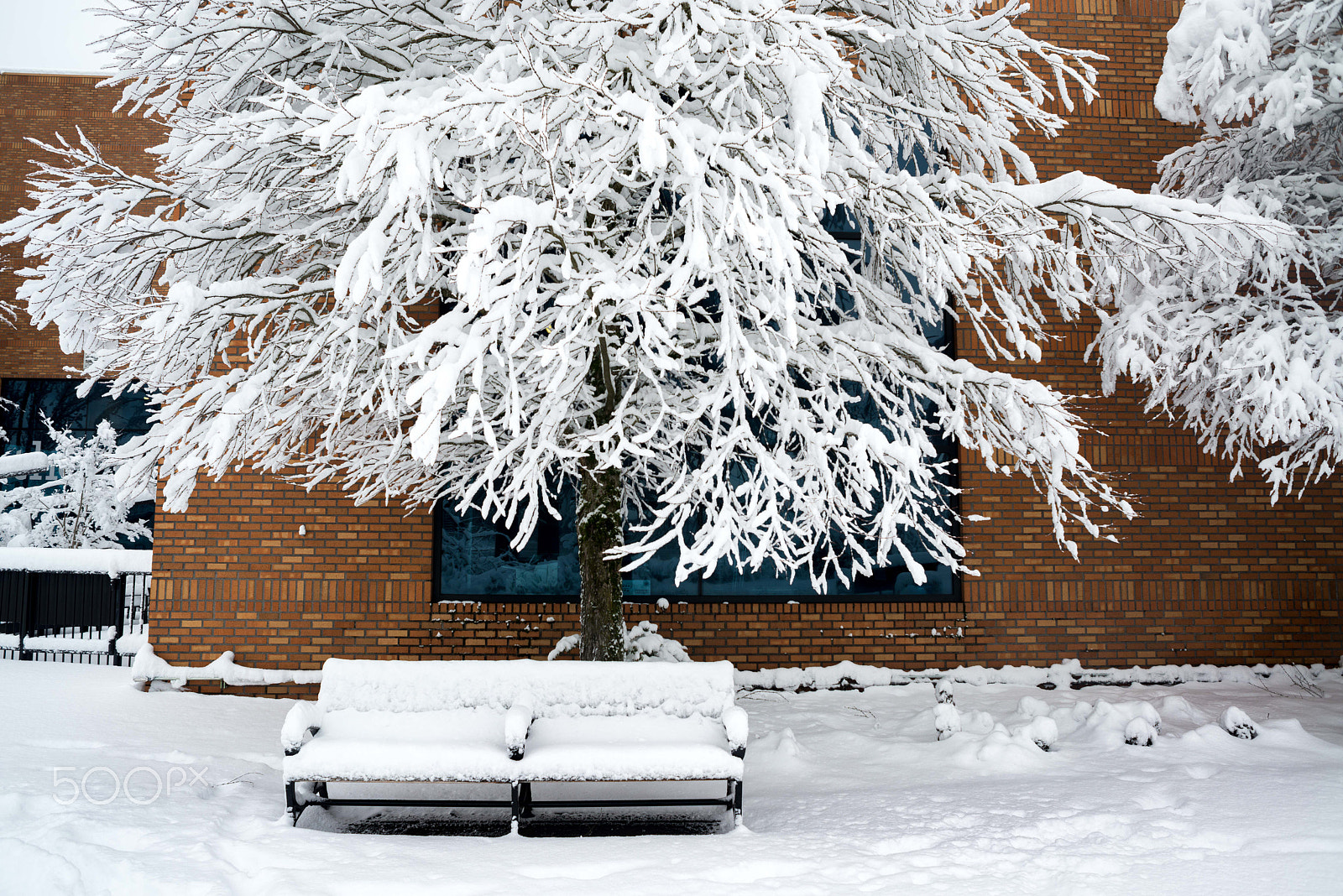 AF Nikkor 24mm f/2.8 sample photo. Pdx snow (of ) photography