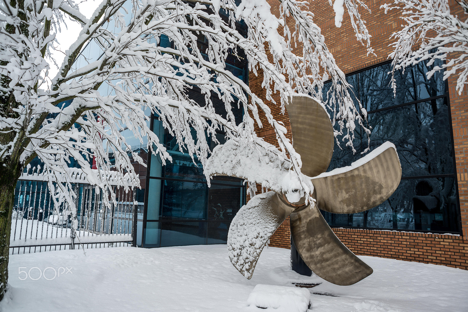 Nikon D800 + AF Nikkor 24mm f/2.8 sample photo. Pdx snow (of ) photography