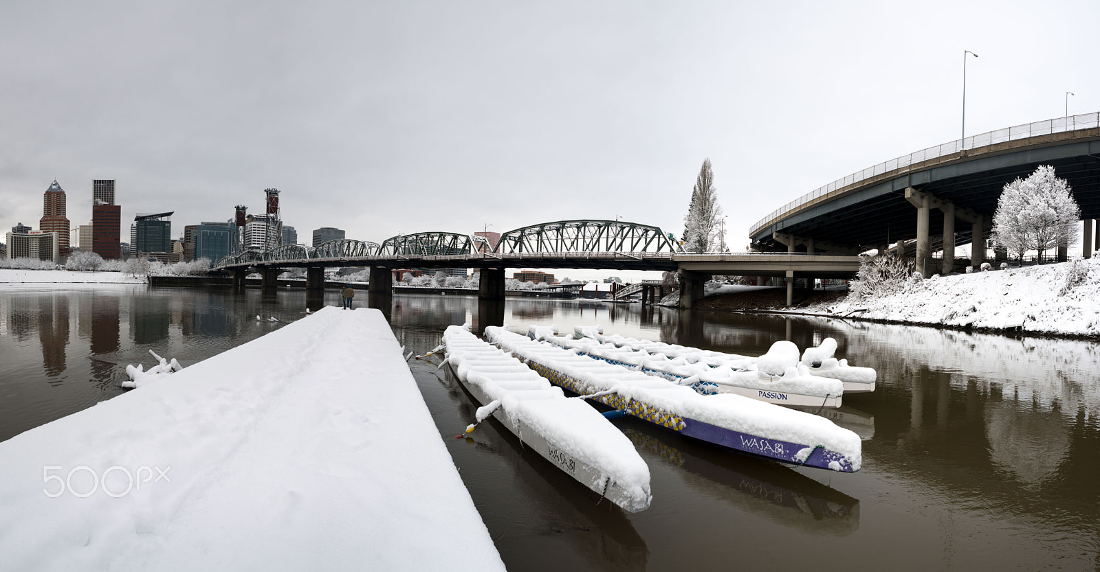 Nikon D800 + AF Nikkor 24mm f/2.8 sample photo. Pdx snow (of ) photography