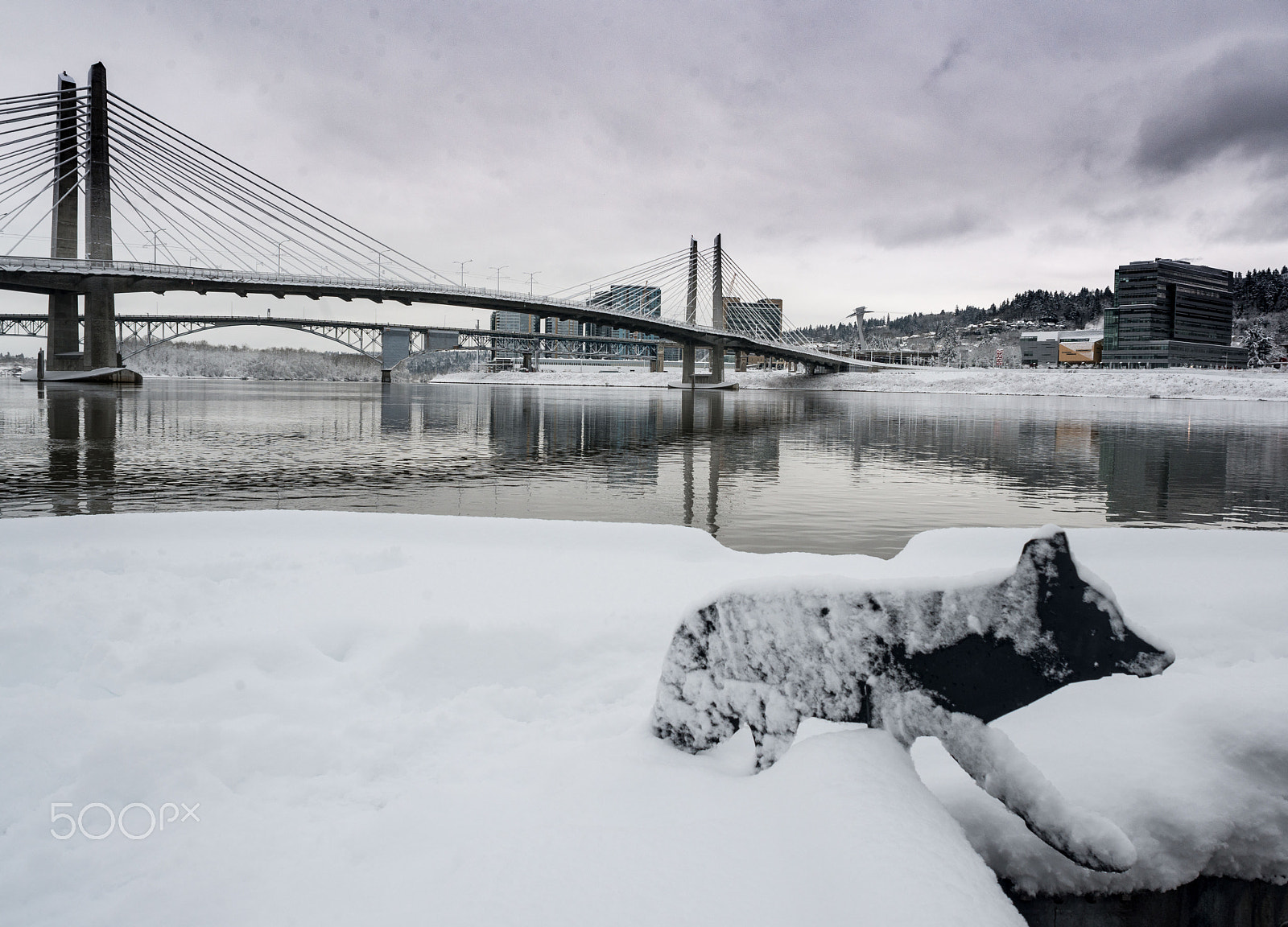 Nikon D800 + AF Nikkor 24mm f/2.8 sample photo. Pdx snow (of ) photography