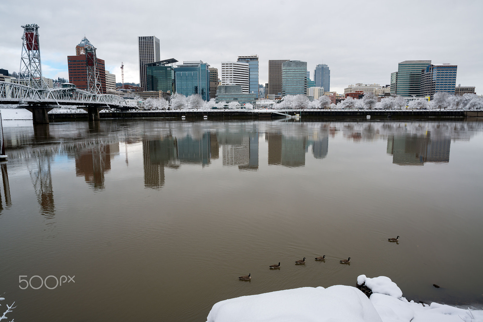 Nikon D800 + AF Nikkor 24mm f/2.8 sample photo. Pdx snow (of ) photography