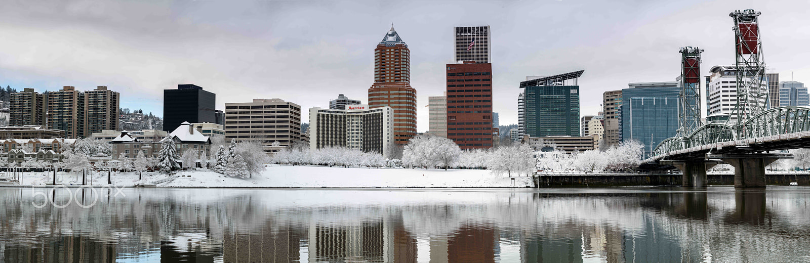 Nikon D800 sample photo. Pdx snow (of ) photography