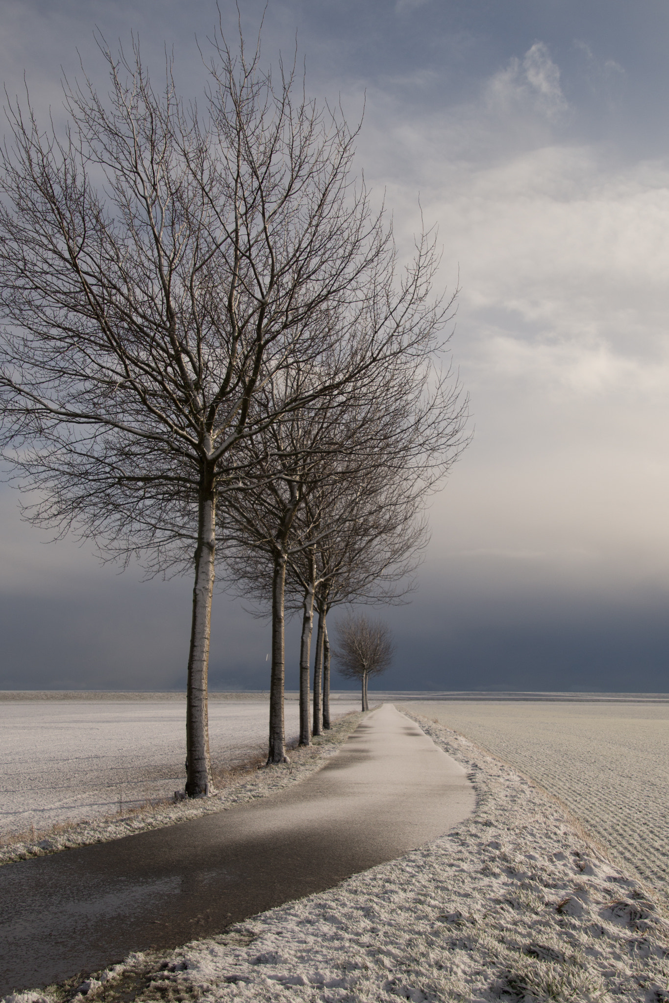 Sony a99 II sample photo. Winter in groningen photography