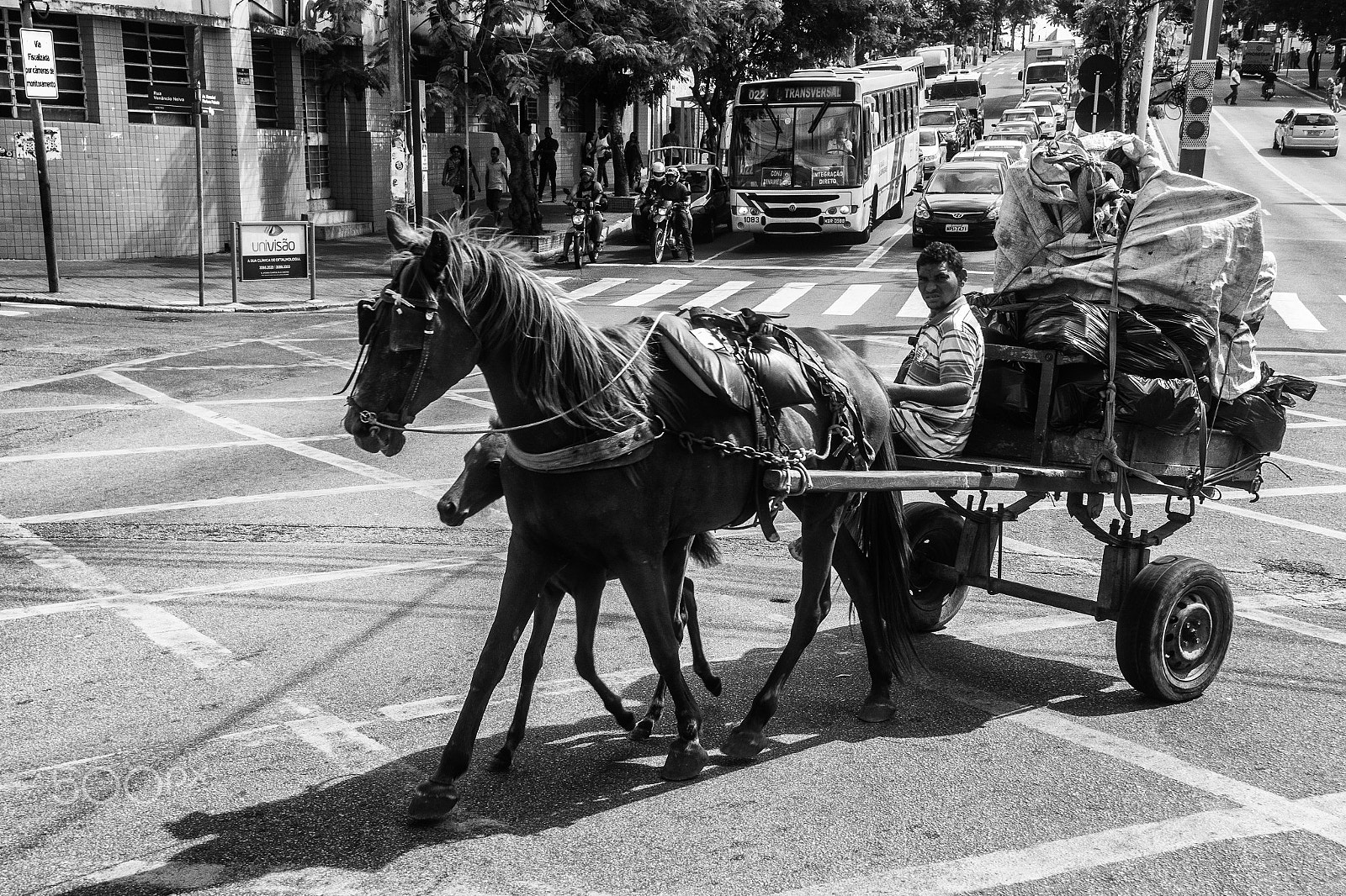 Samsung NX200 + Samsung NX 20-50mm F3.5-5.6 ED sample photo. Campina grande, brazil, 2017 photography