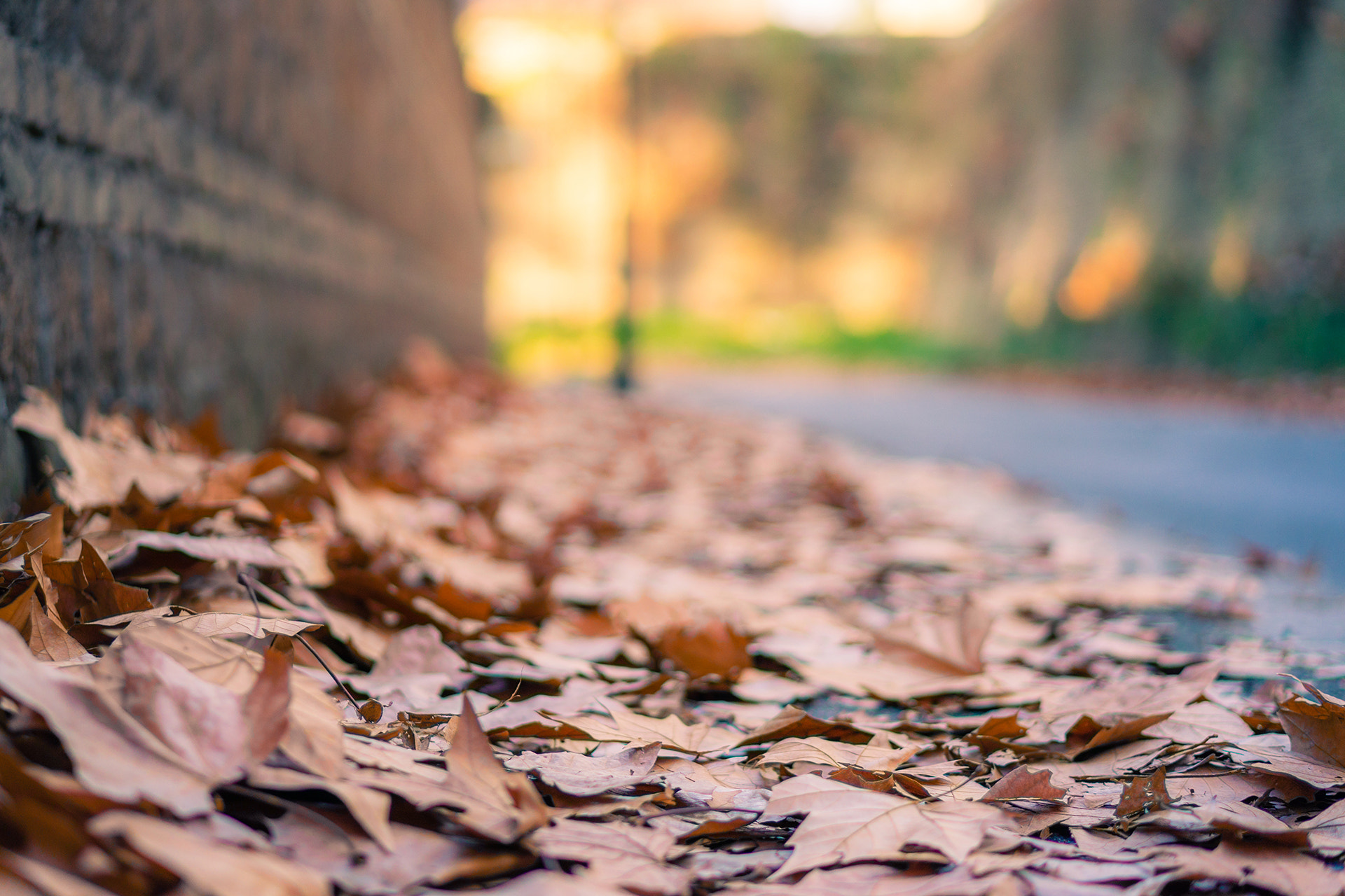 Sony Alpha NEX-6 sample photo. Viale delle mura aurelie photography