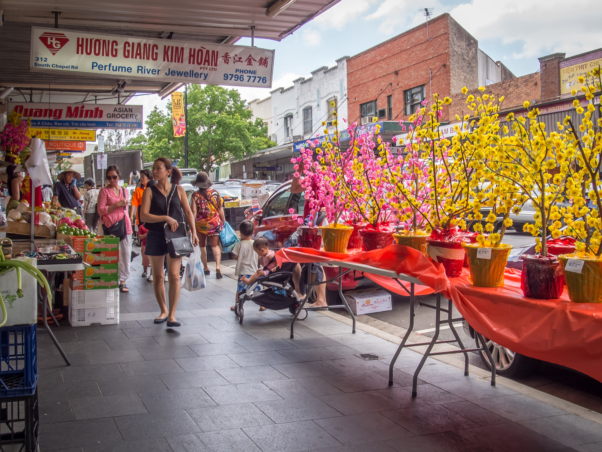 Olympus M.Zuiko Digital 14-42mm F3.5-5.6 II R sample photo. Vietnamese holiday is in bankstown photography