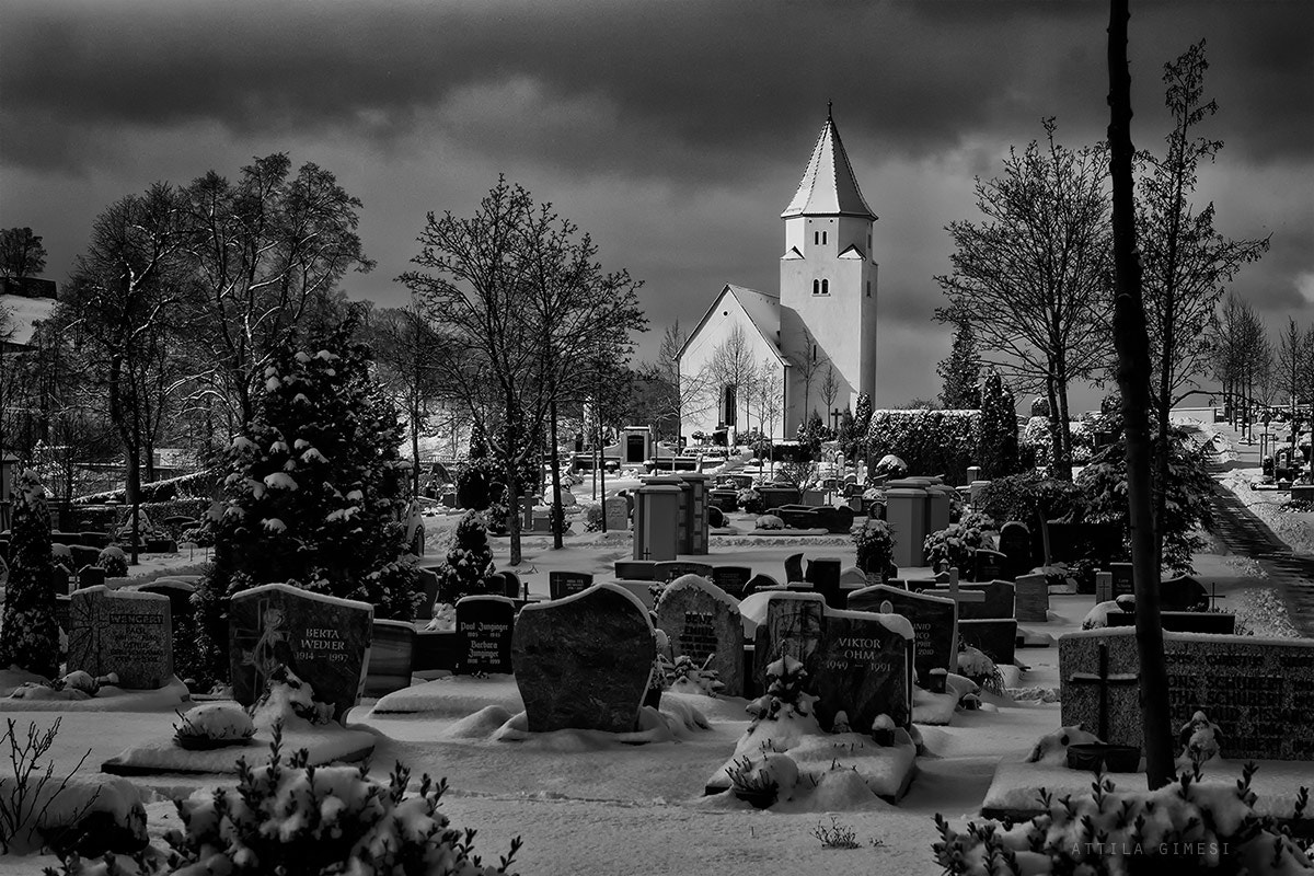 Canon EOS 80D sample photo. Totenberg friedhof photography