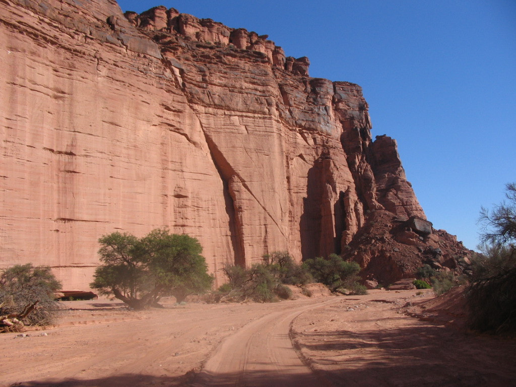 Canon POWERSHOT A85 sample photo. The road by the wall photography