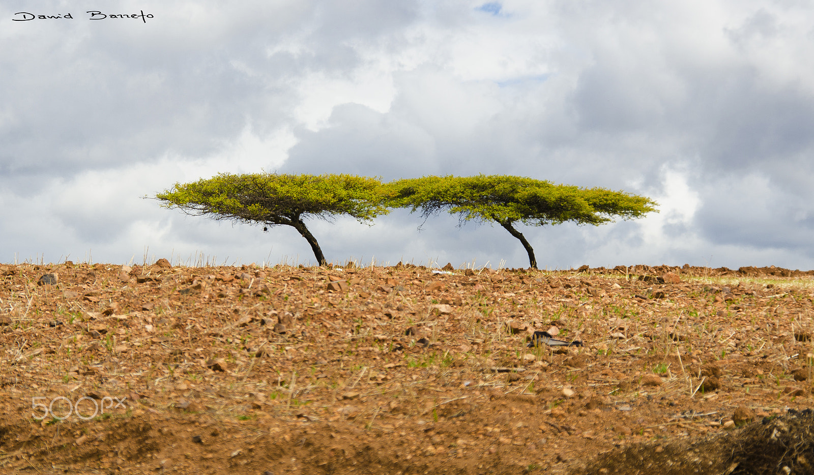 Nikon D5100 + Sigma 18-200mm F3.5-6.3 DC OS HSM sample photo. Siempre juntos photography