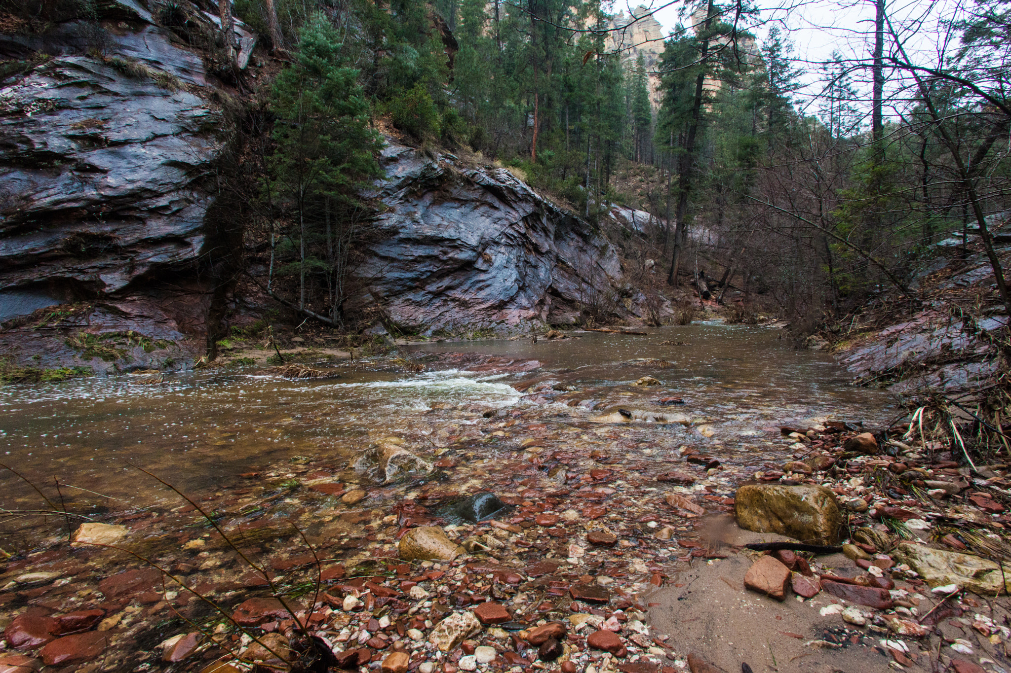 Canon EF 17-35mm f/2.8L sample photo. West fork trail photography