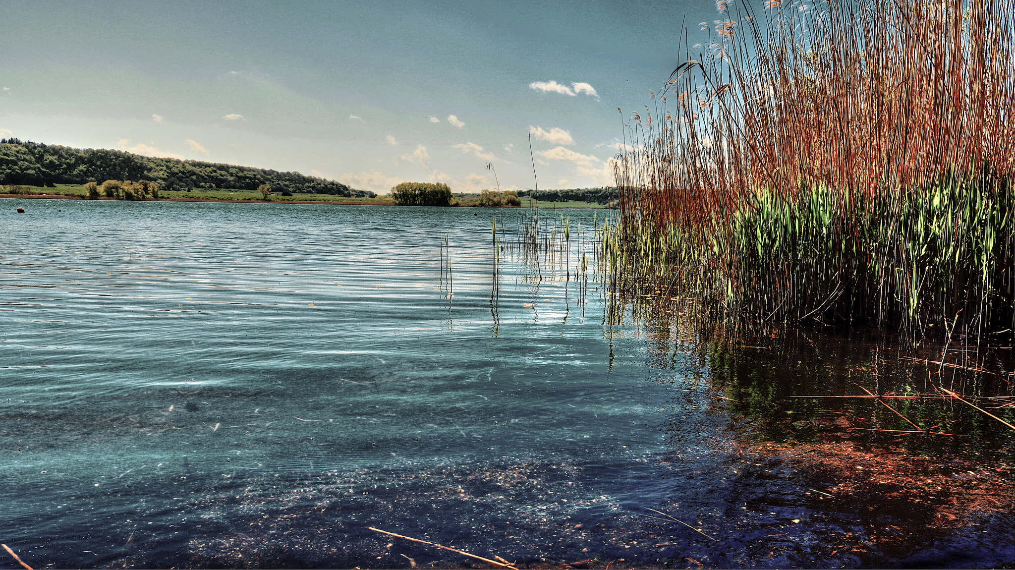 Canon EOS 760D (EOS Rebel T6s / EOS 8000D) sample photo. Prospettive del lago photography