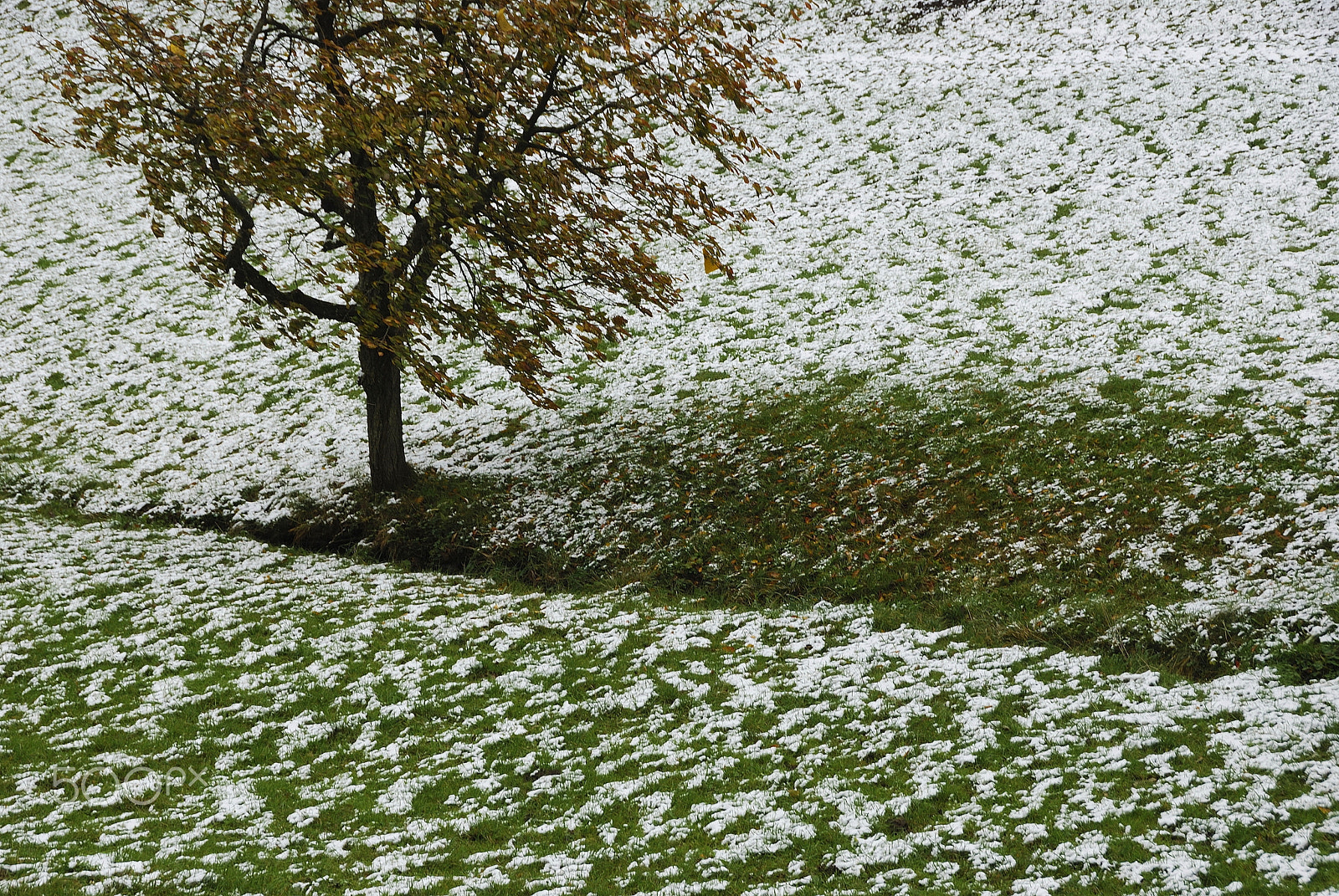 Nikon D80 sample photo. Herbstschnee photography