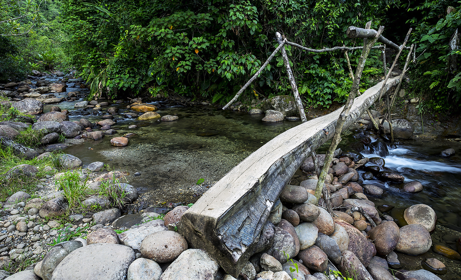 E 21mm F2.8 sample photo. Jungle bridge photography