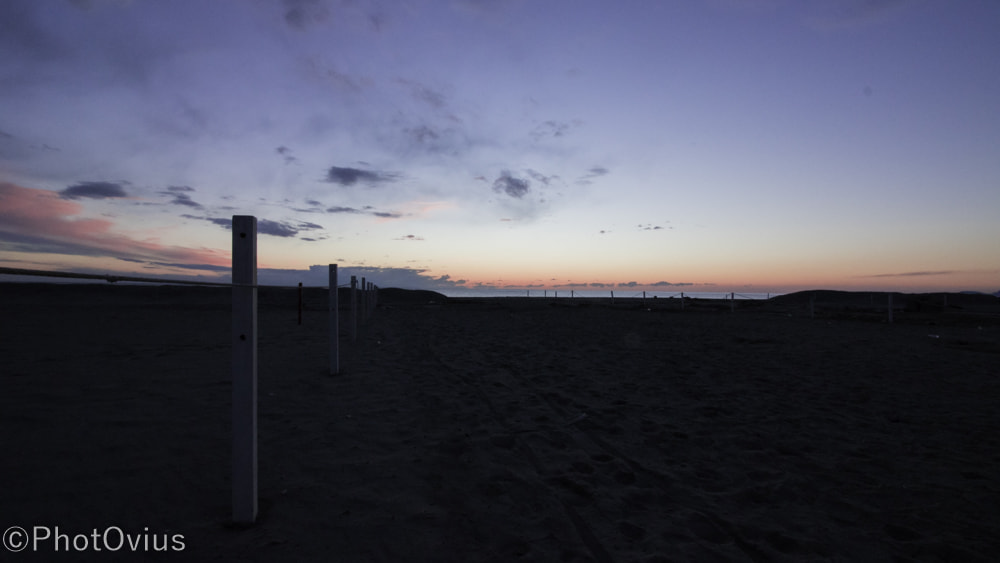 Canon EOS 750D (EOS Rebel T6i / EOS Kiss X8i) sample photo. Sunset line photography