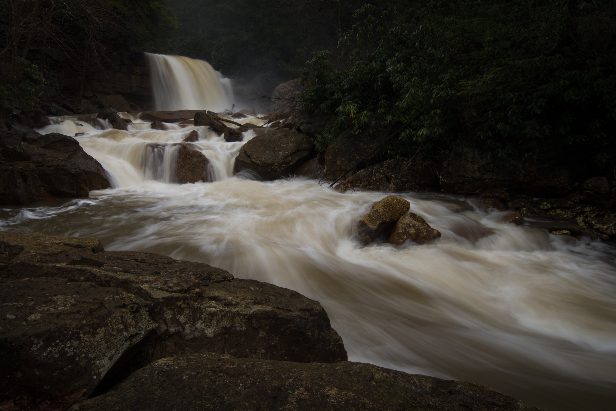 Nikon D500 sample photo. Douglas falls photography