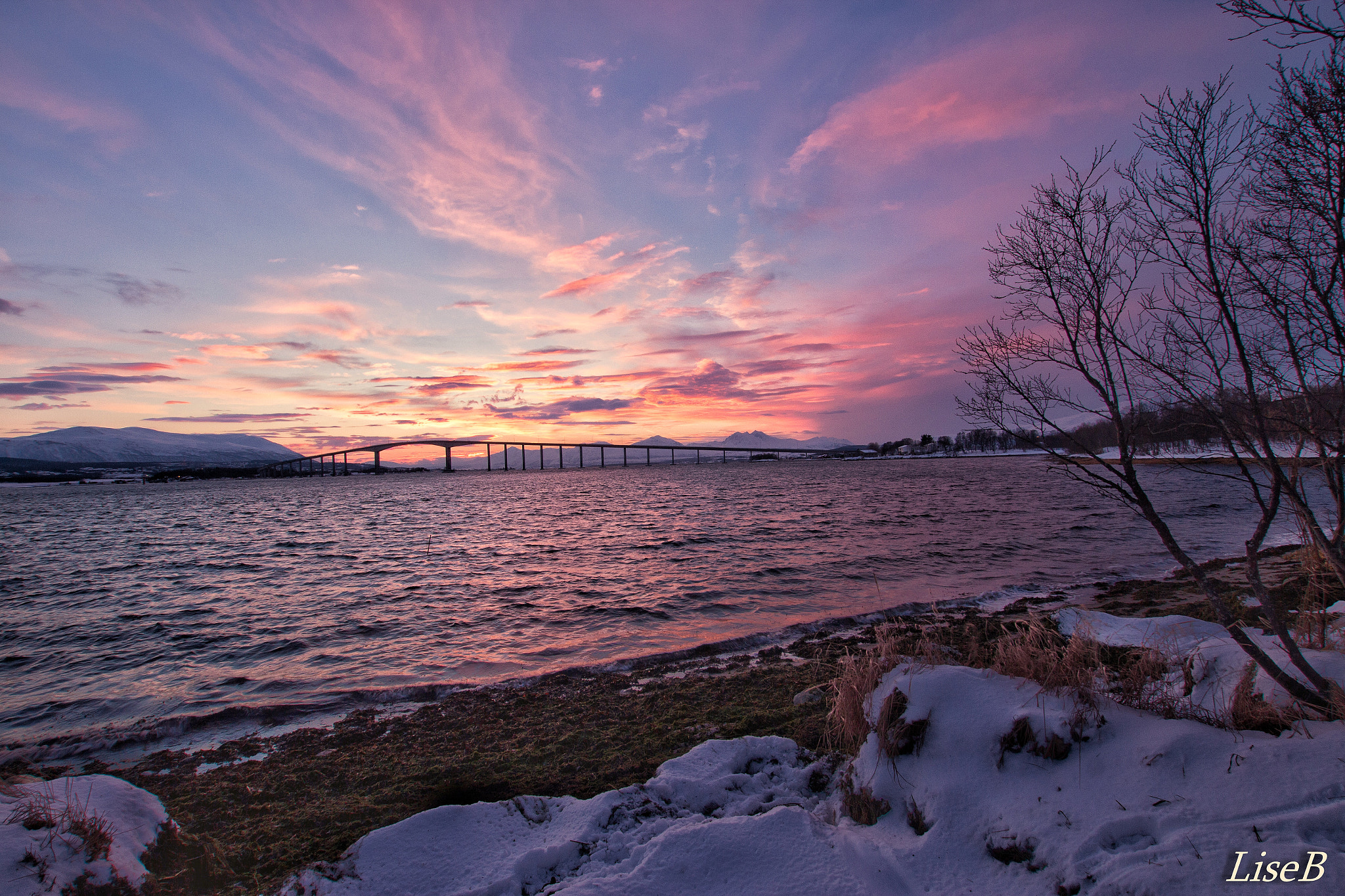 Sigma 10-20mm F3.5 EX DC HSM sample photo. The bridge in beautiful colors photography