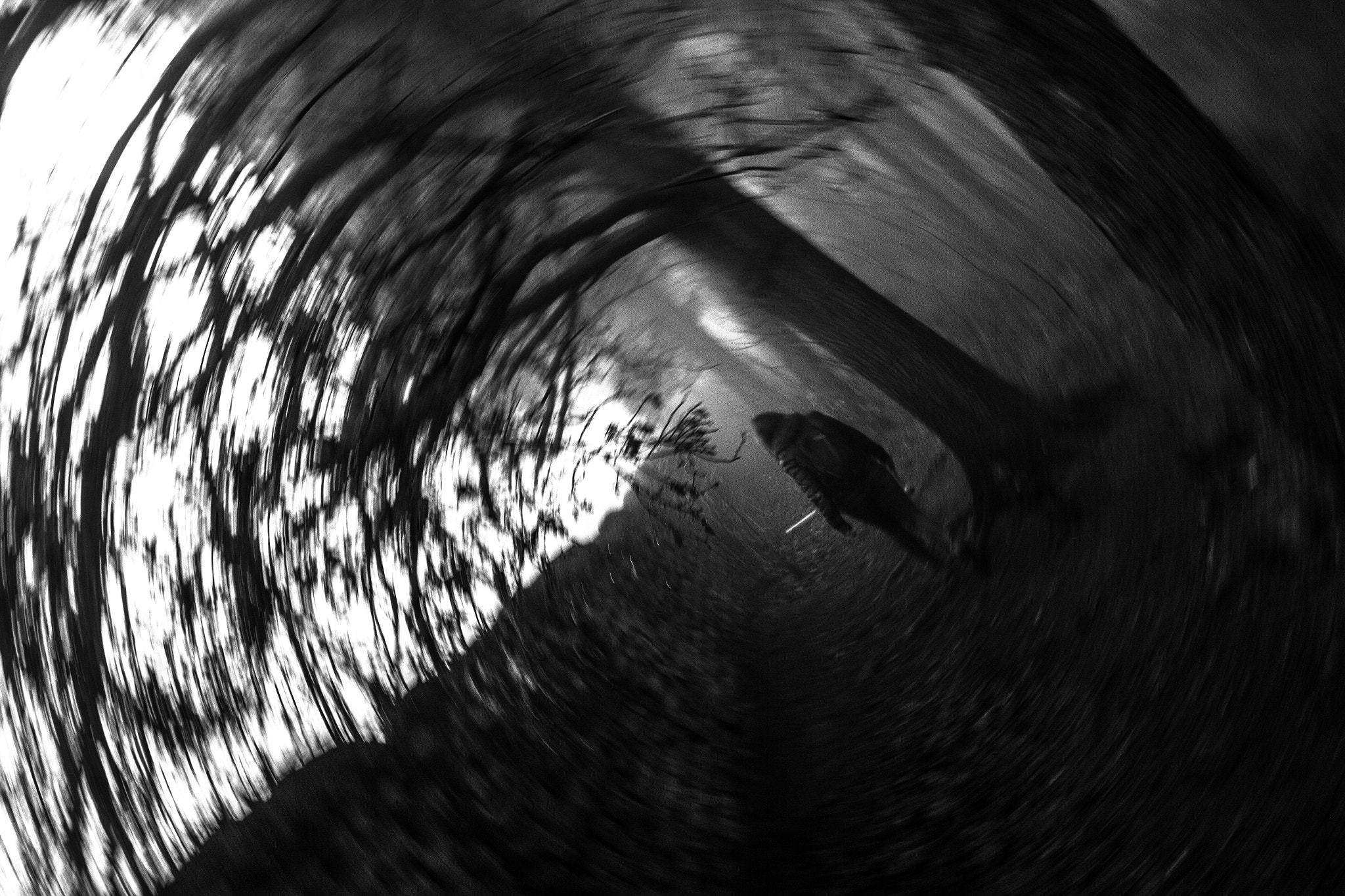 Canon EF 24mm F2.8 IS USM sample photo. Zoom spin photography