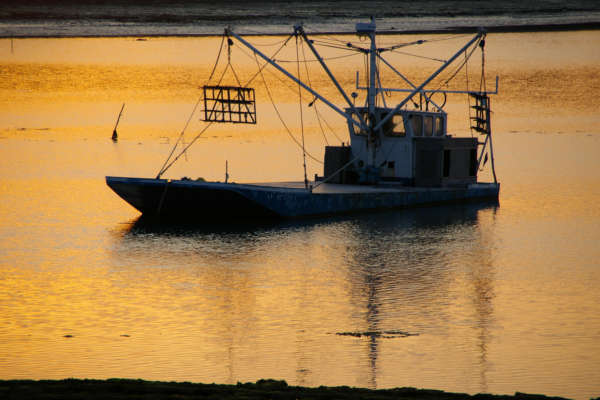 Pentax *ist DL sample photo. Le logeo photography