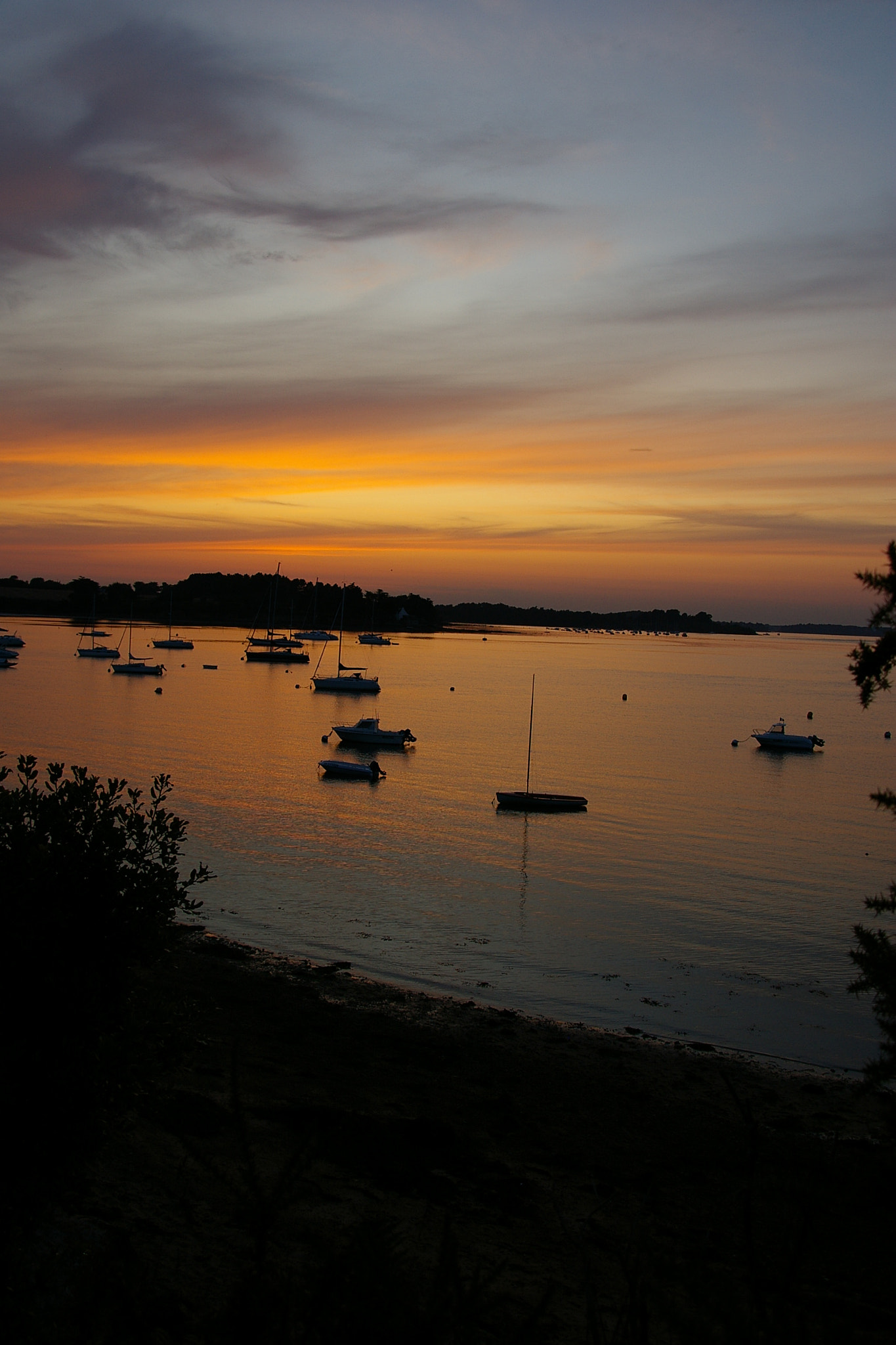 Pentax *ist DL sample photo. Le logeo photography