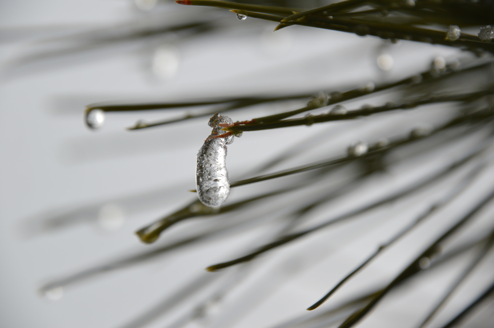 Nikon D3200 sample photo. Frozen drop photography