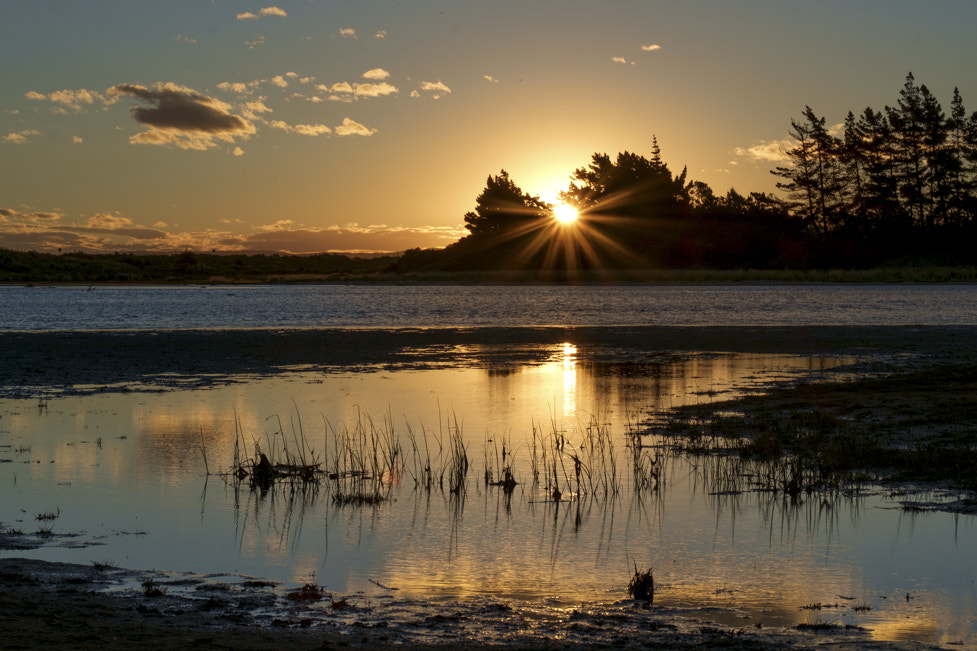 Fujifilm X-E1 + Fujifilm XF 50-140mm F2.8 R LM OIS WR sample photo. Goodnight photography