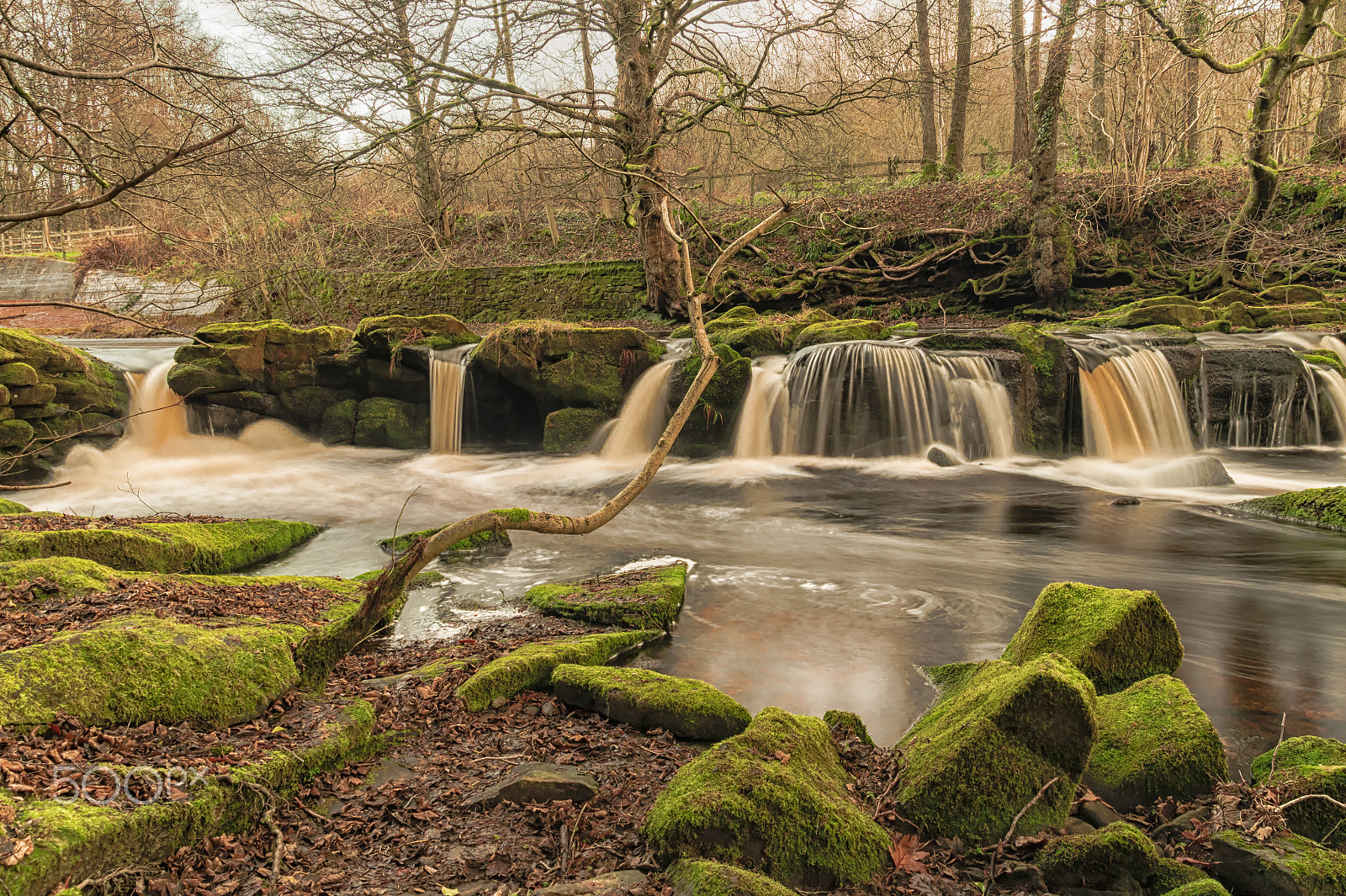 Sony SLT-A58 + Sigma 18-200mm F3.5-6.3 DC sample photo. River derwent photography