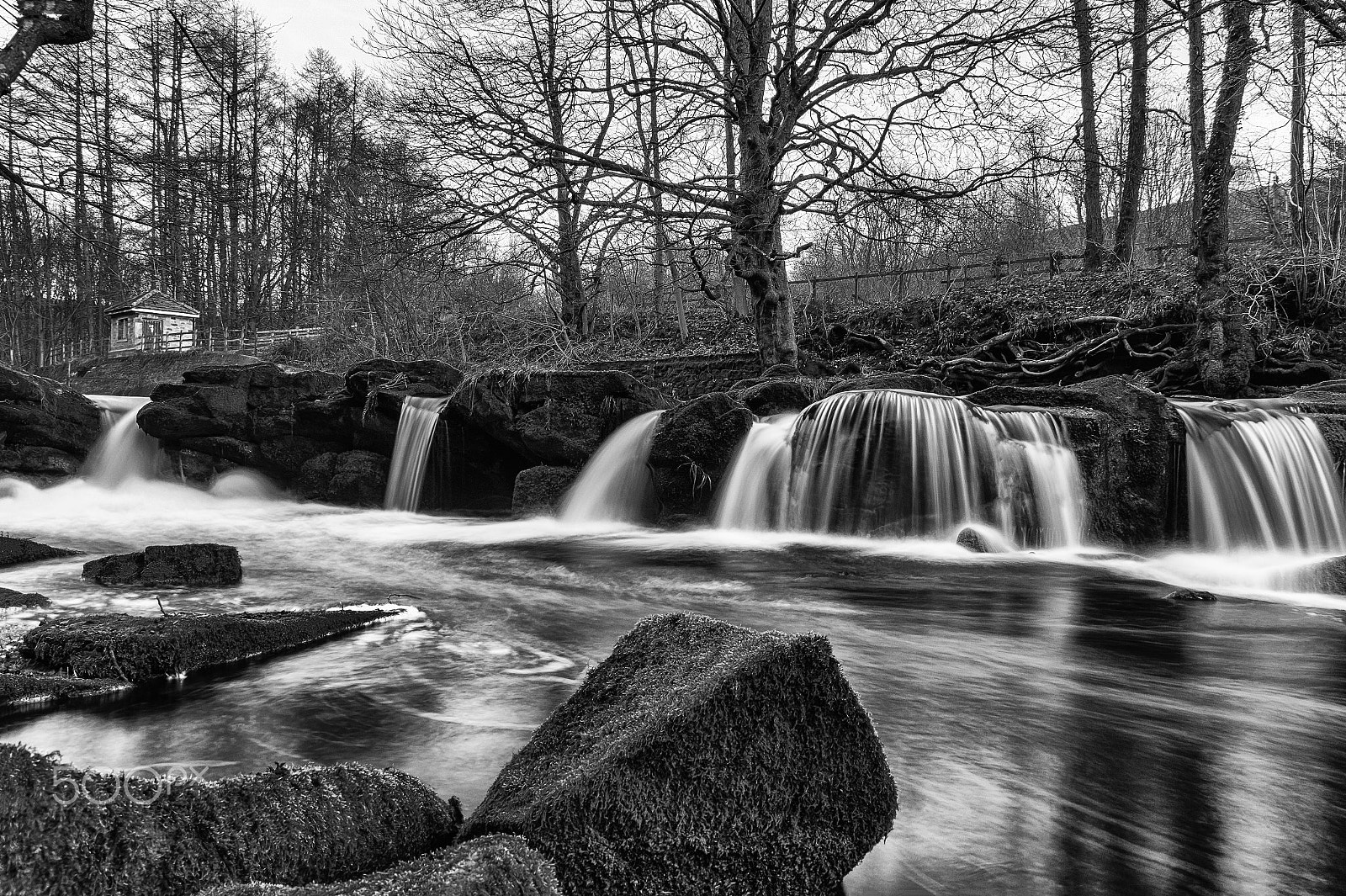 Sony SLT-A58 + Sigma 18-200mm F3.5-6.3 DC sample photo. River derwent photography