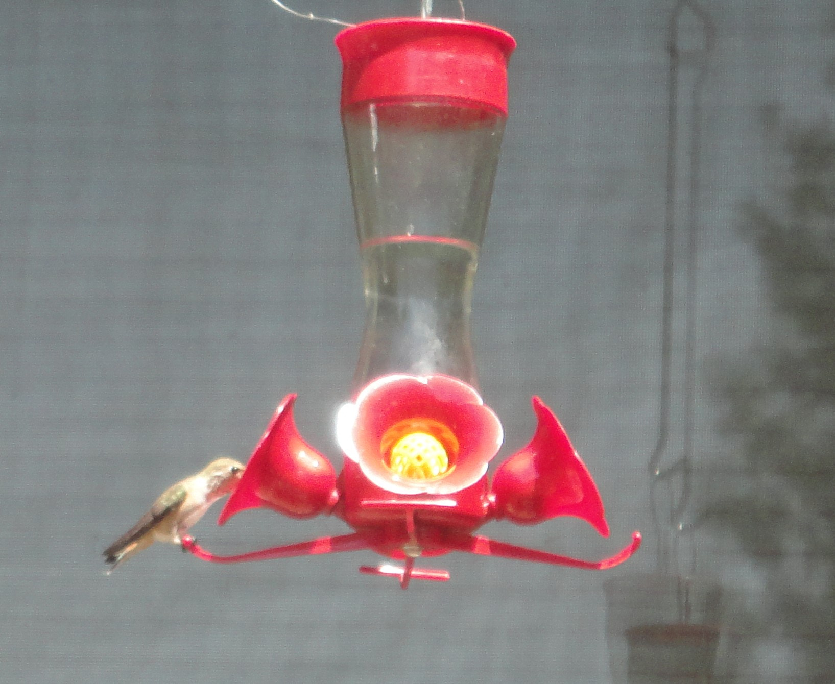 Sony Cyber-shot DSC-W560 sample photo. Hummer photography