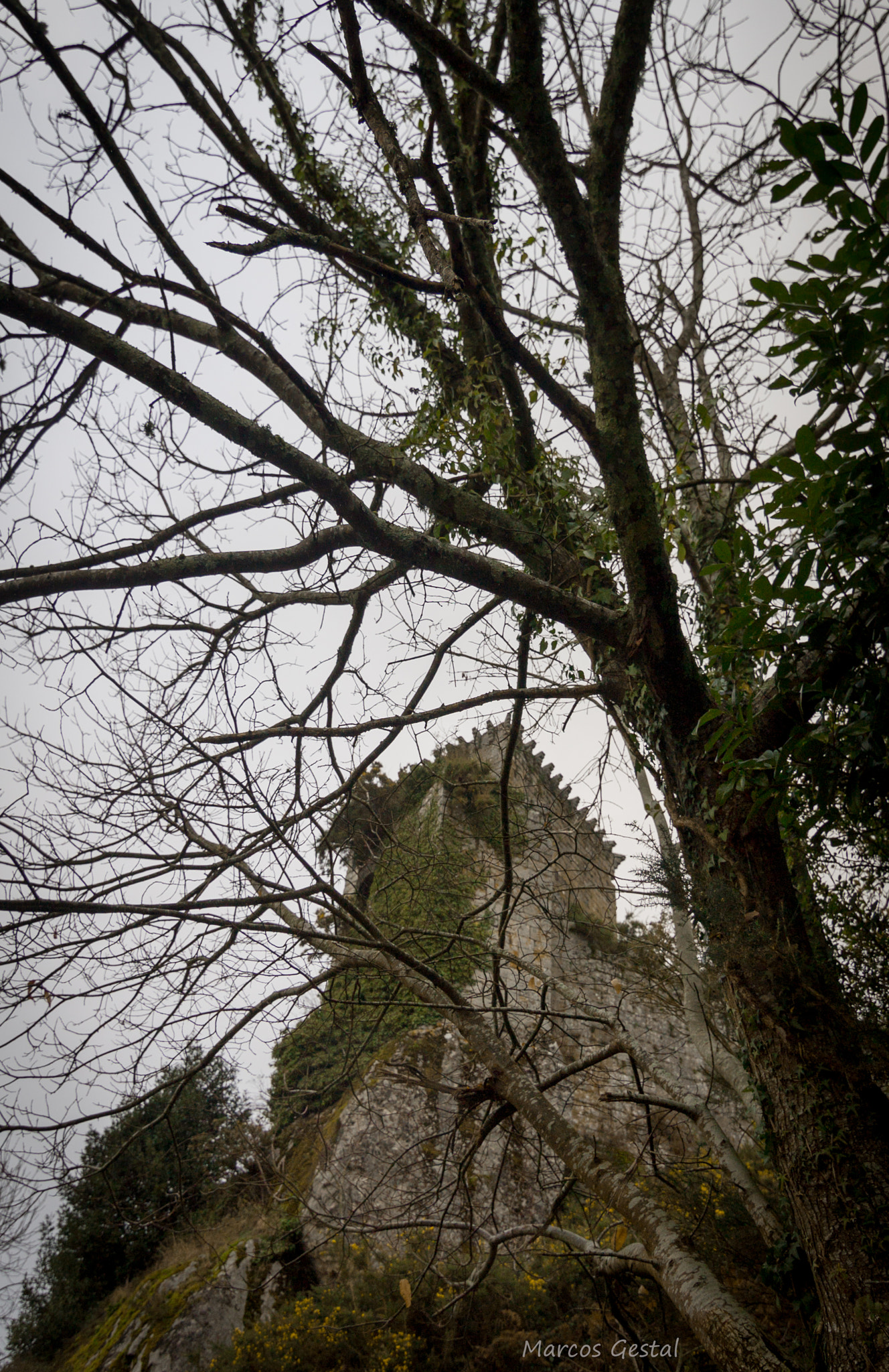 Canon EOS 1100D (EOS Rebel T3 / EOS Kiss X50) sample photo. Castillo de andrade (pontedeume) photography